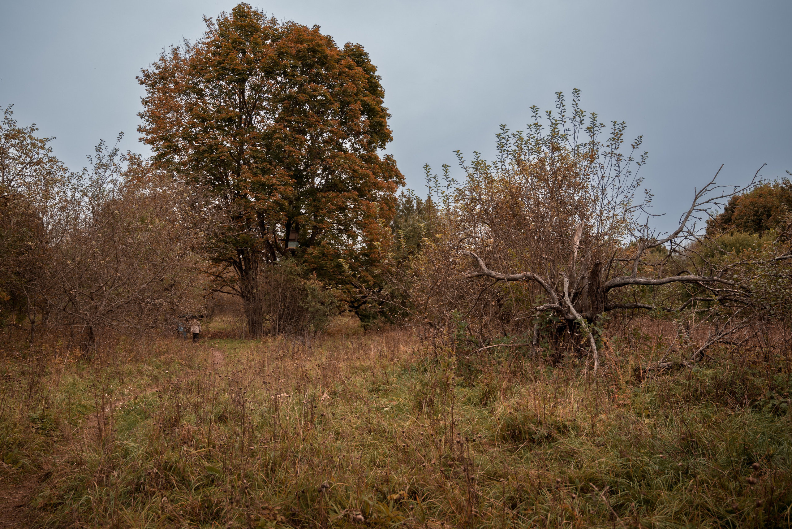 Места. Фотограф в Минске Дарья Кончакова
