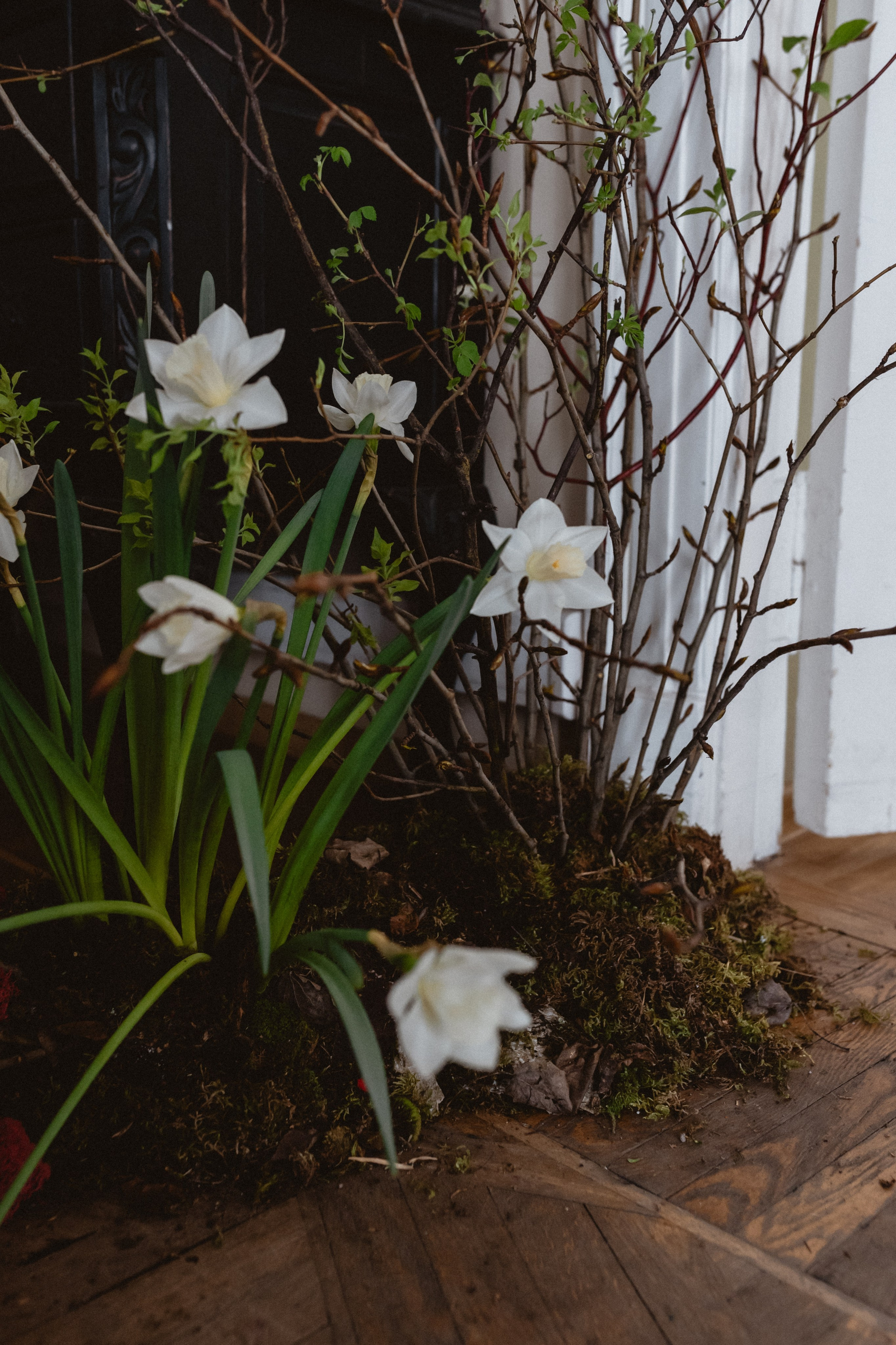 Эрнест & Аня. Оформление свадеб, декор свадеб Вера Маркова, Москва