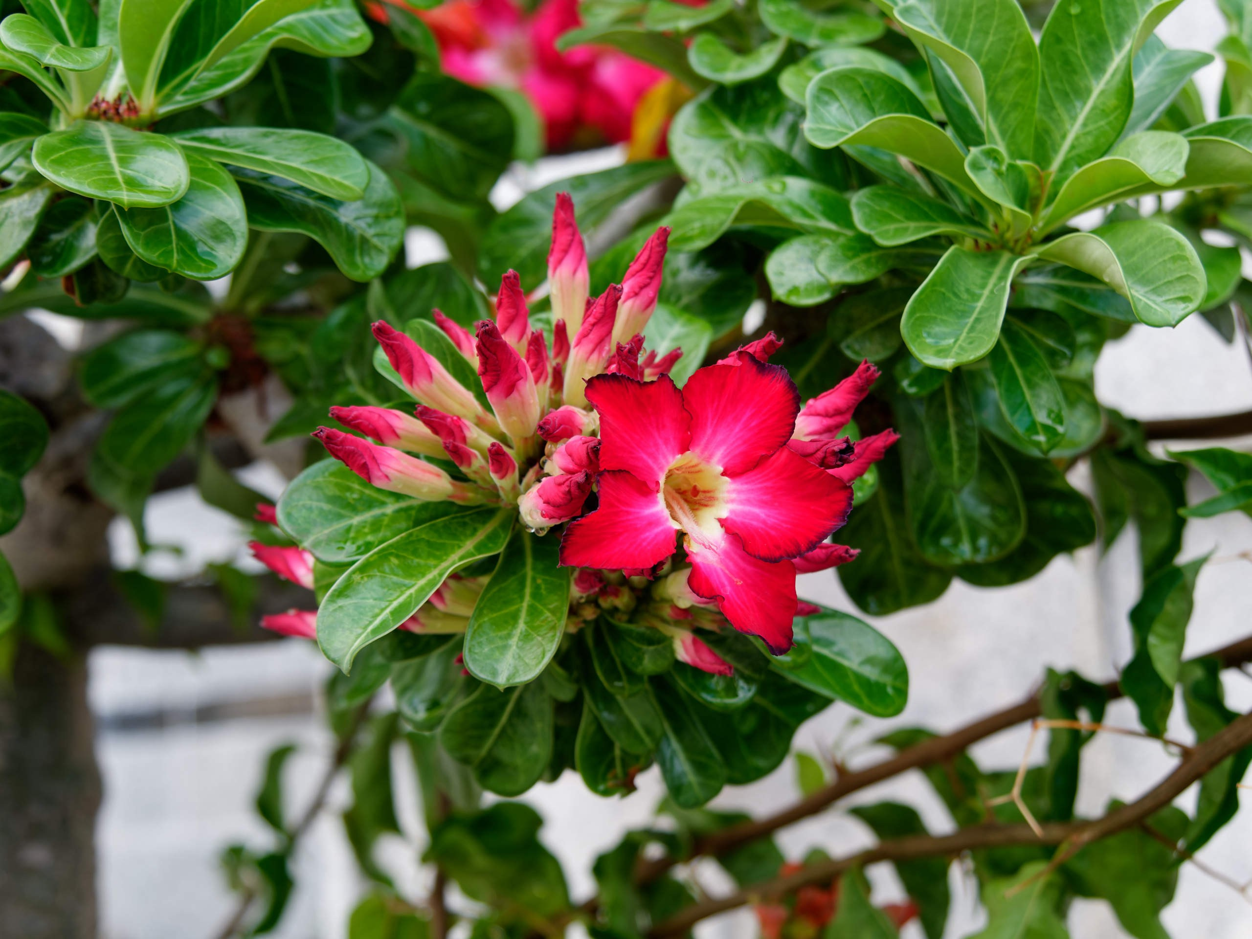 Нячанг 2023. Избранные фотографии