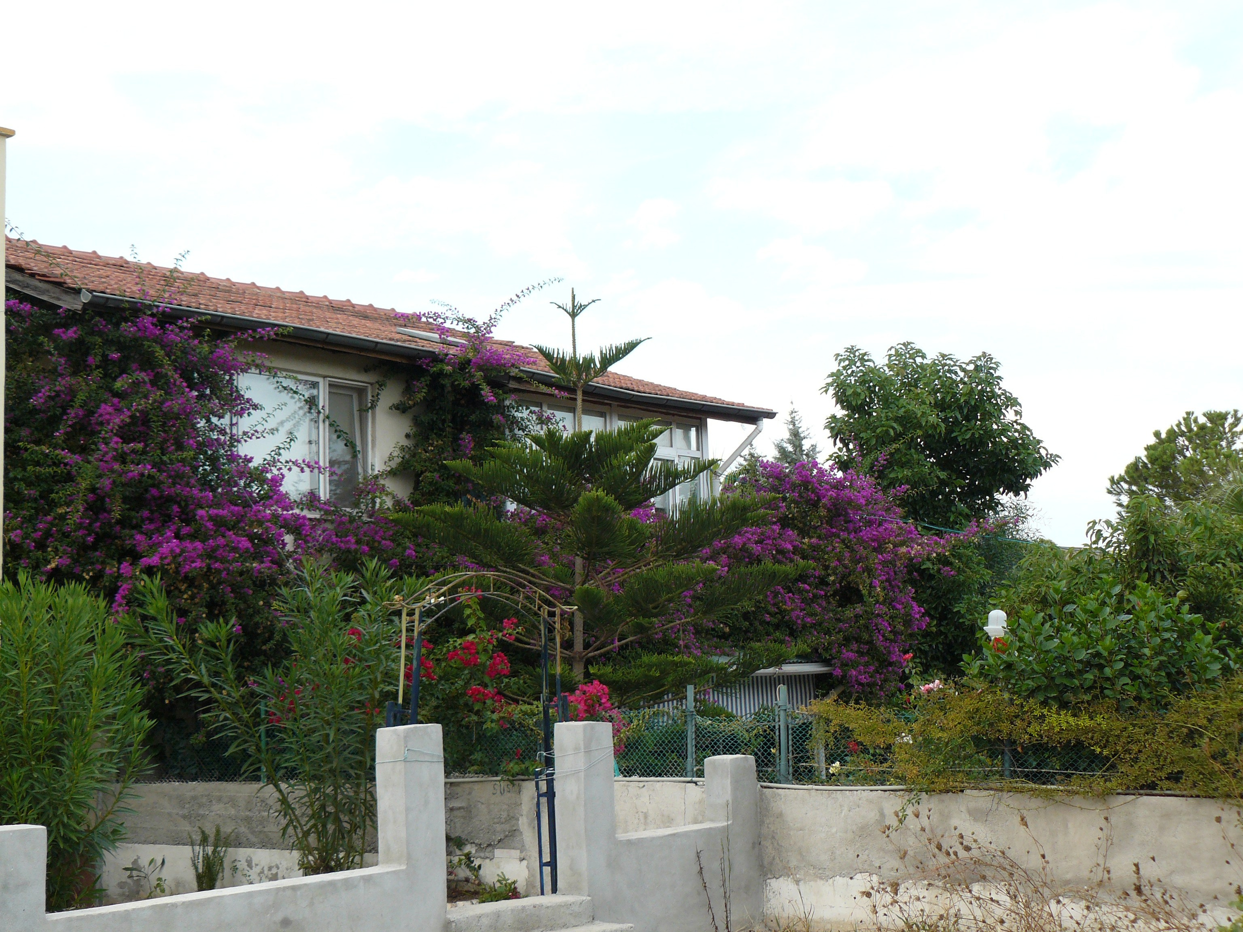 Кемер, Чамьюва 2008. Избранные фотографии