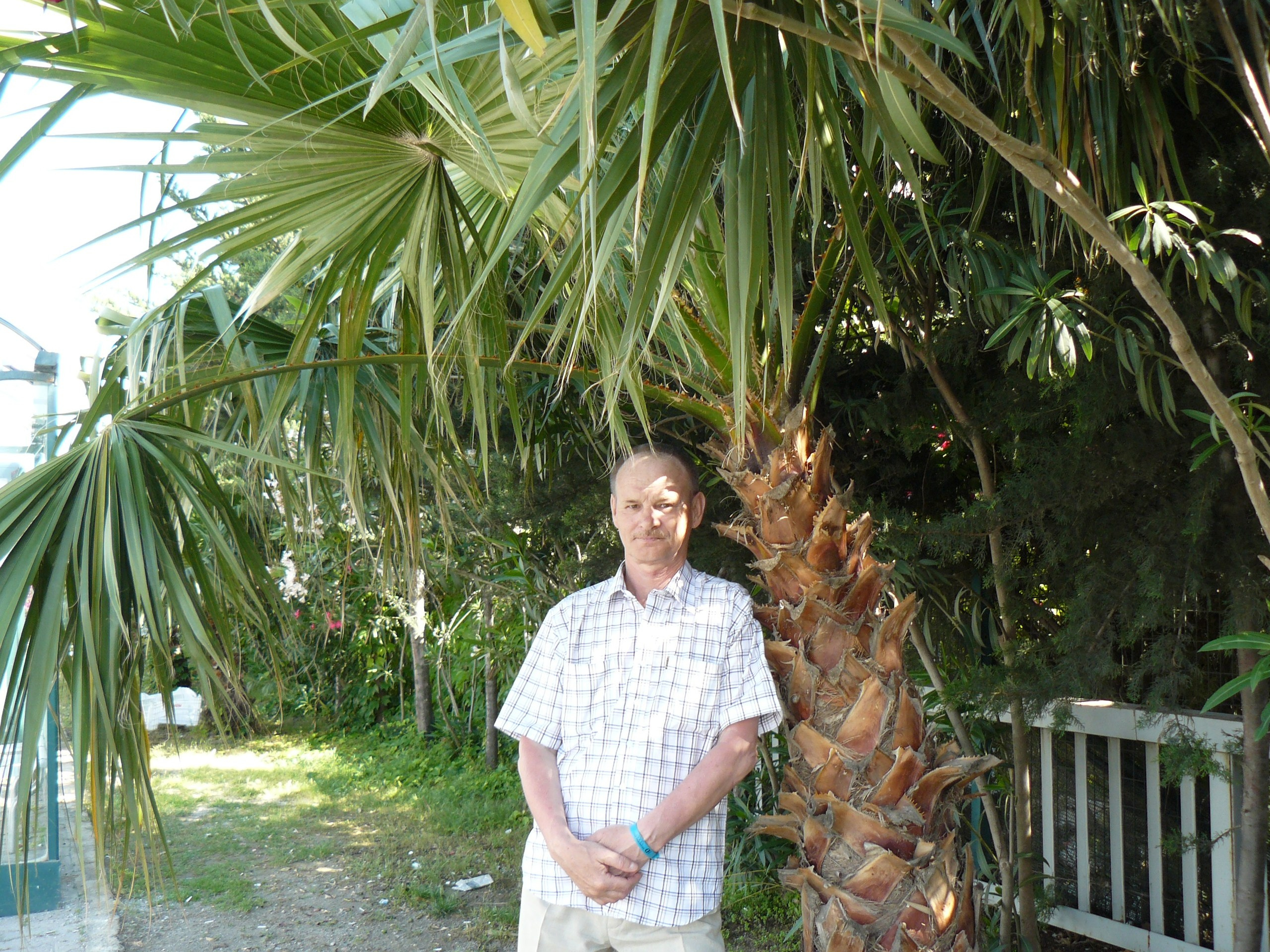 Алания 2014. Фотопрогулки по Миру