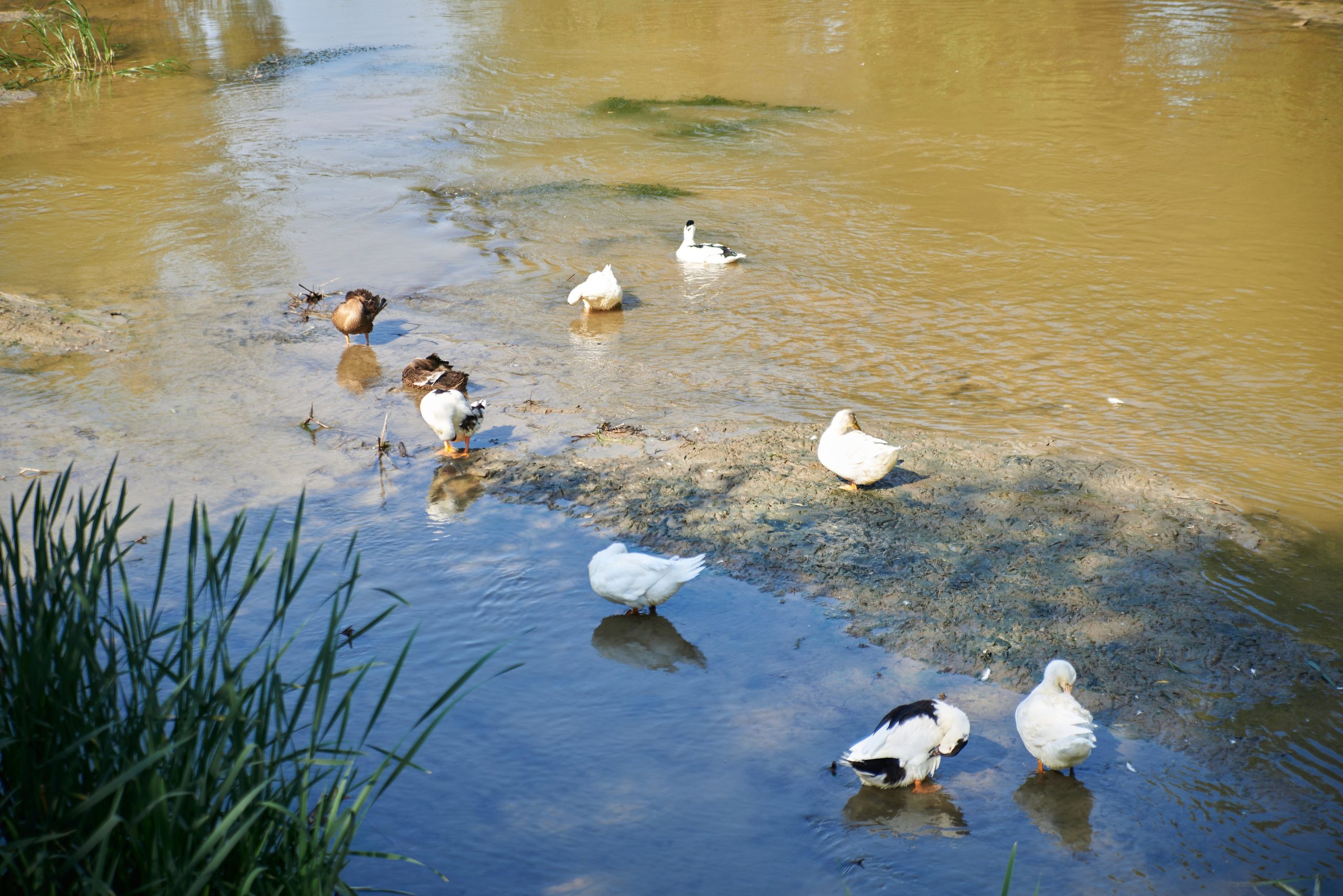 День Рождения Кати. Елизавета Мальгина, фотограф в Москве
