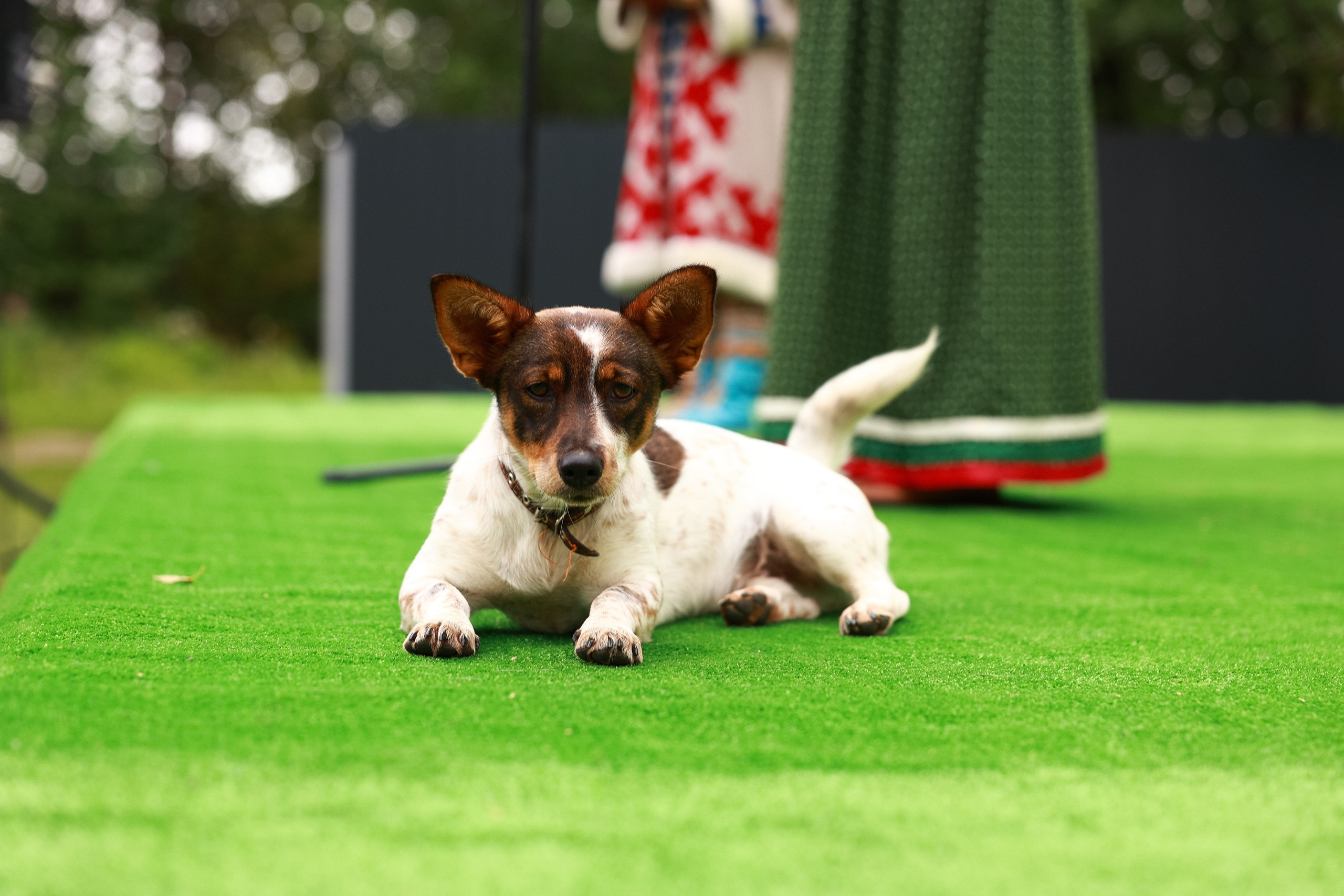 Праздник народов крайнего севера. MIG — студия спортивной фотографии Михаила Голянского