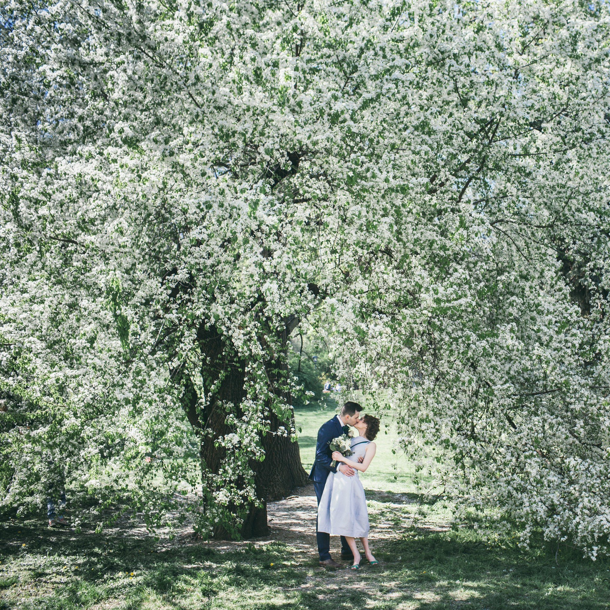 Свадебные съёмки. Портфолио