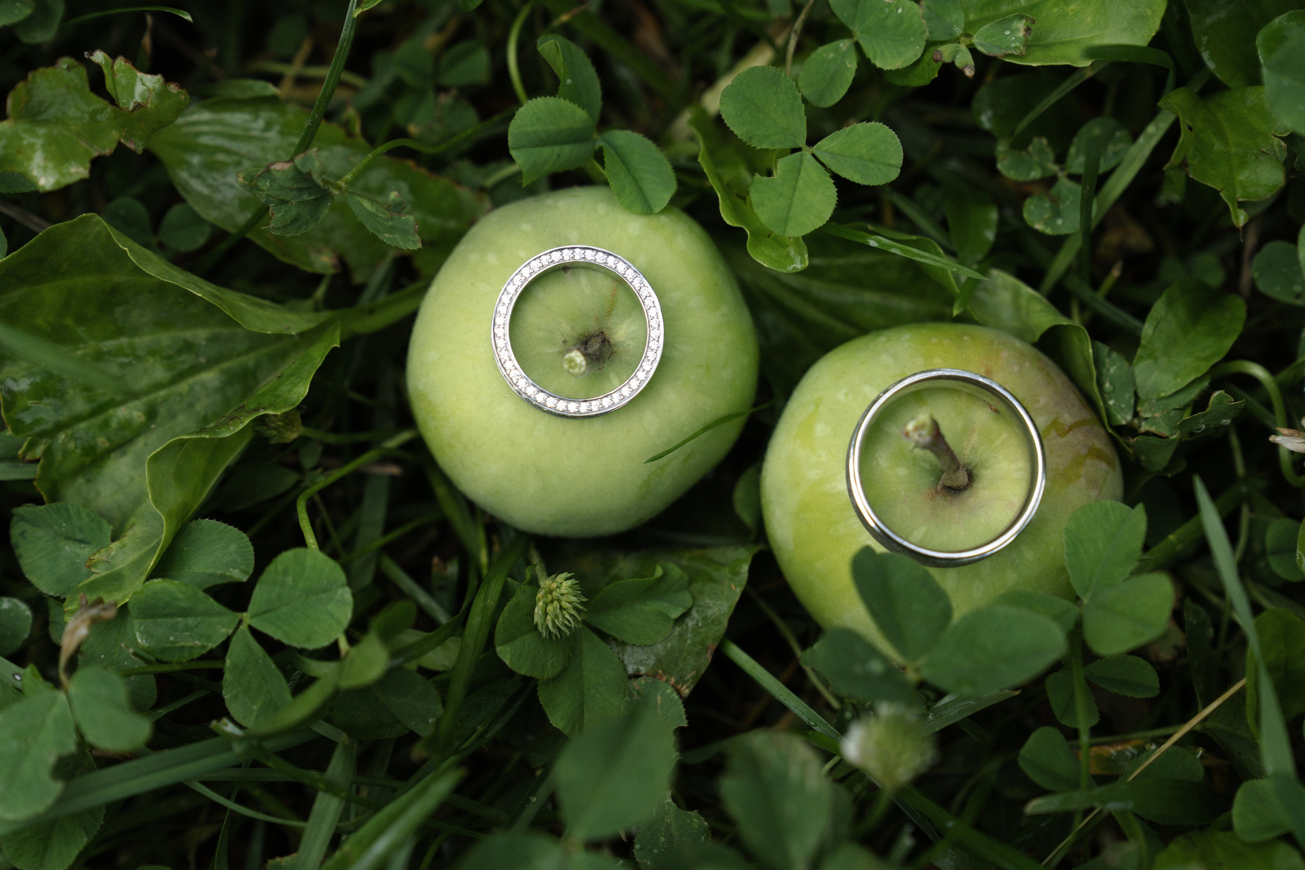 APPLE WED. Свадебный фотограф Наташа Брифли