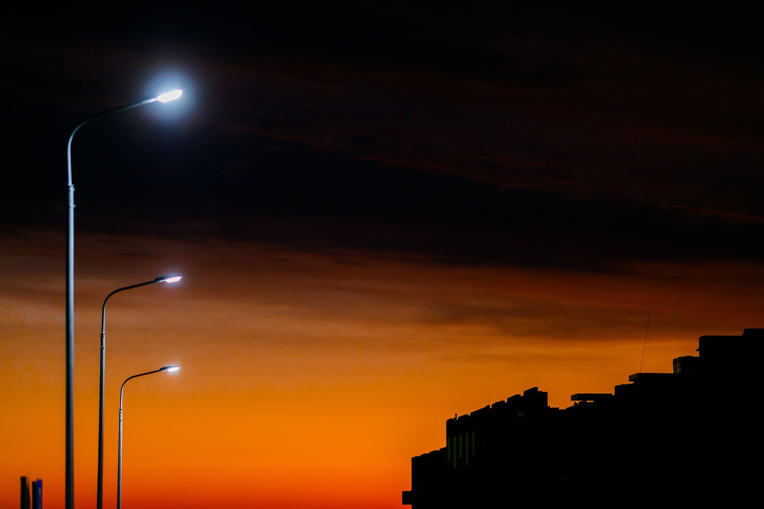 Творчество. Профессиональный фотограф Амир Закиров