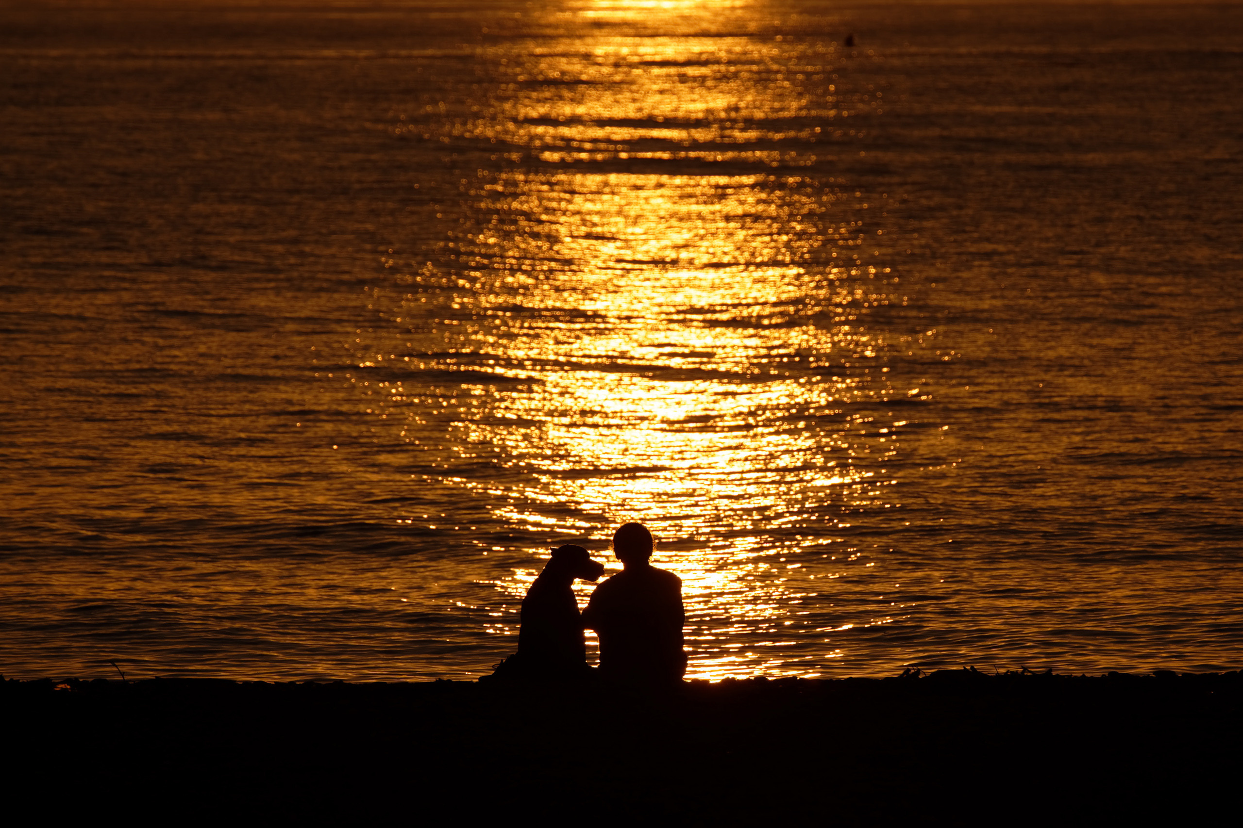 Репортажные фотографии. Репортажный фотограф в Сочи Евгений Реутов