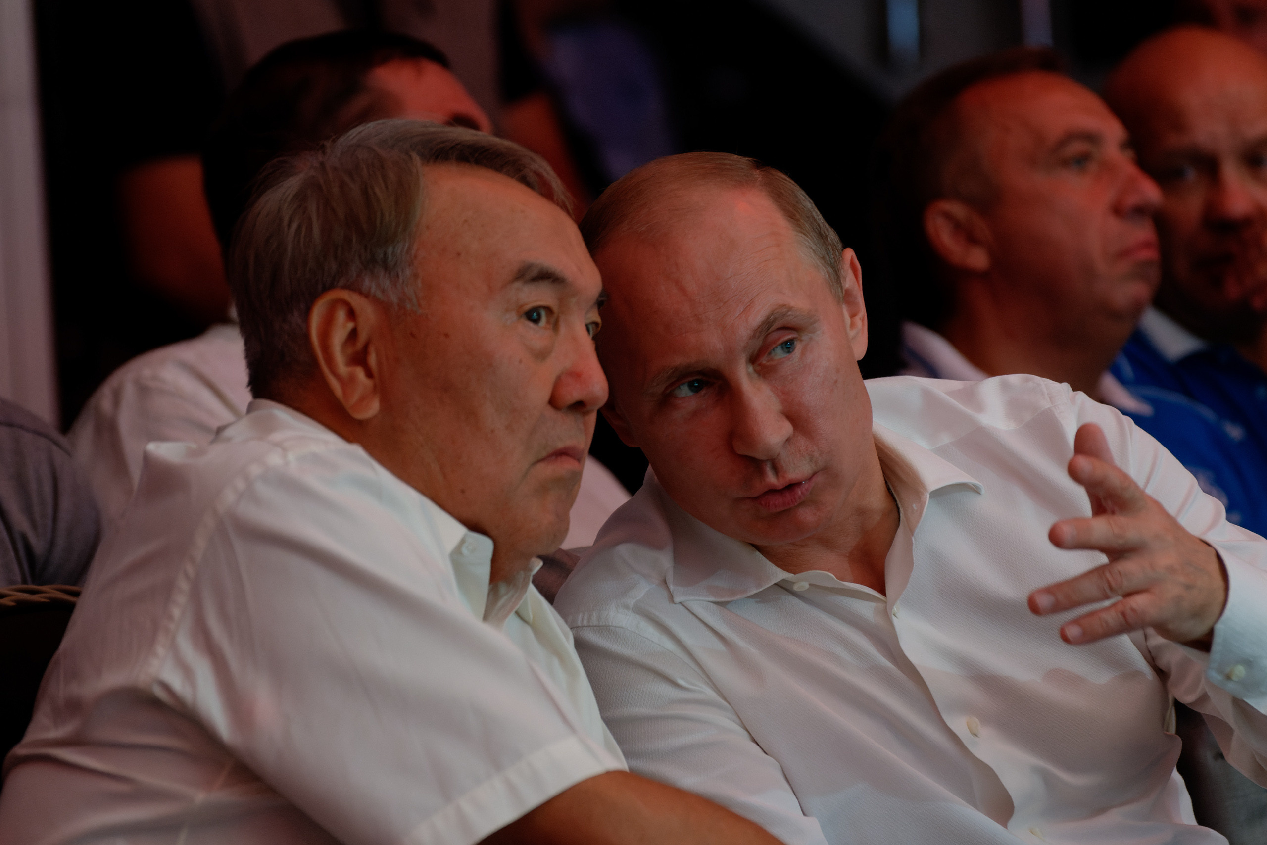 Репортажные фотографии. Репортажный фотограф в Сочи Евгений Реутов