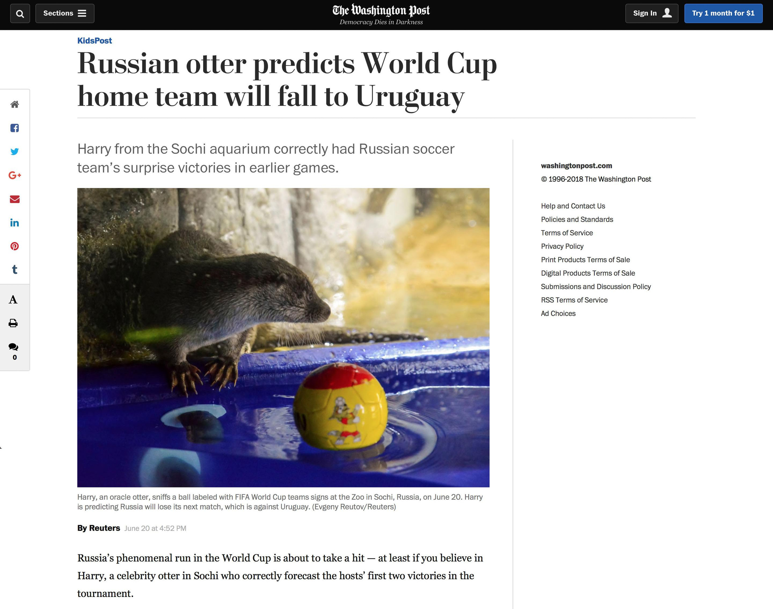 Публикации. Репортажный фотограф в Сочи Евгений Реутов