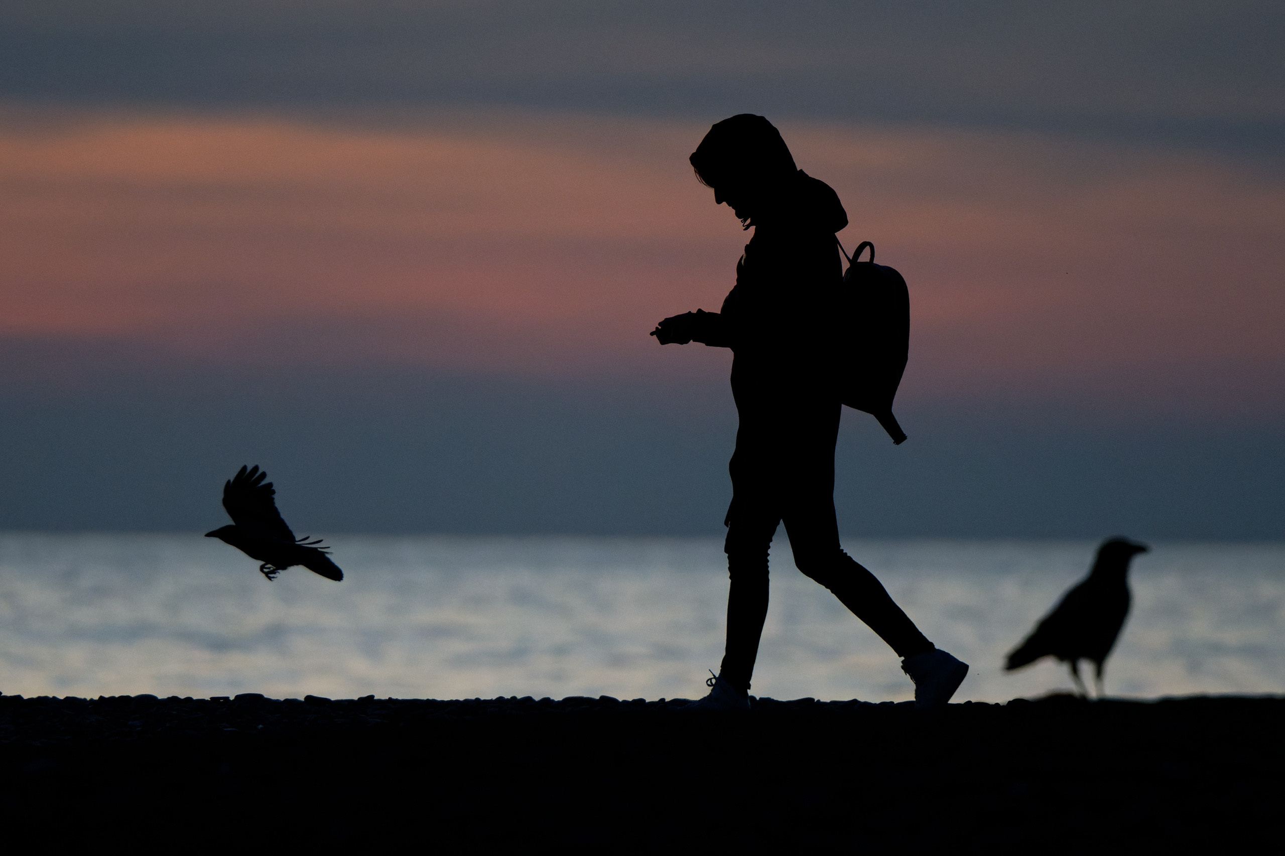 Репортажные фотографии. Репортажный фотограф в Сочи Евгений Реутов