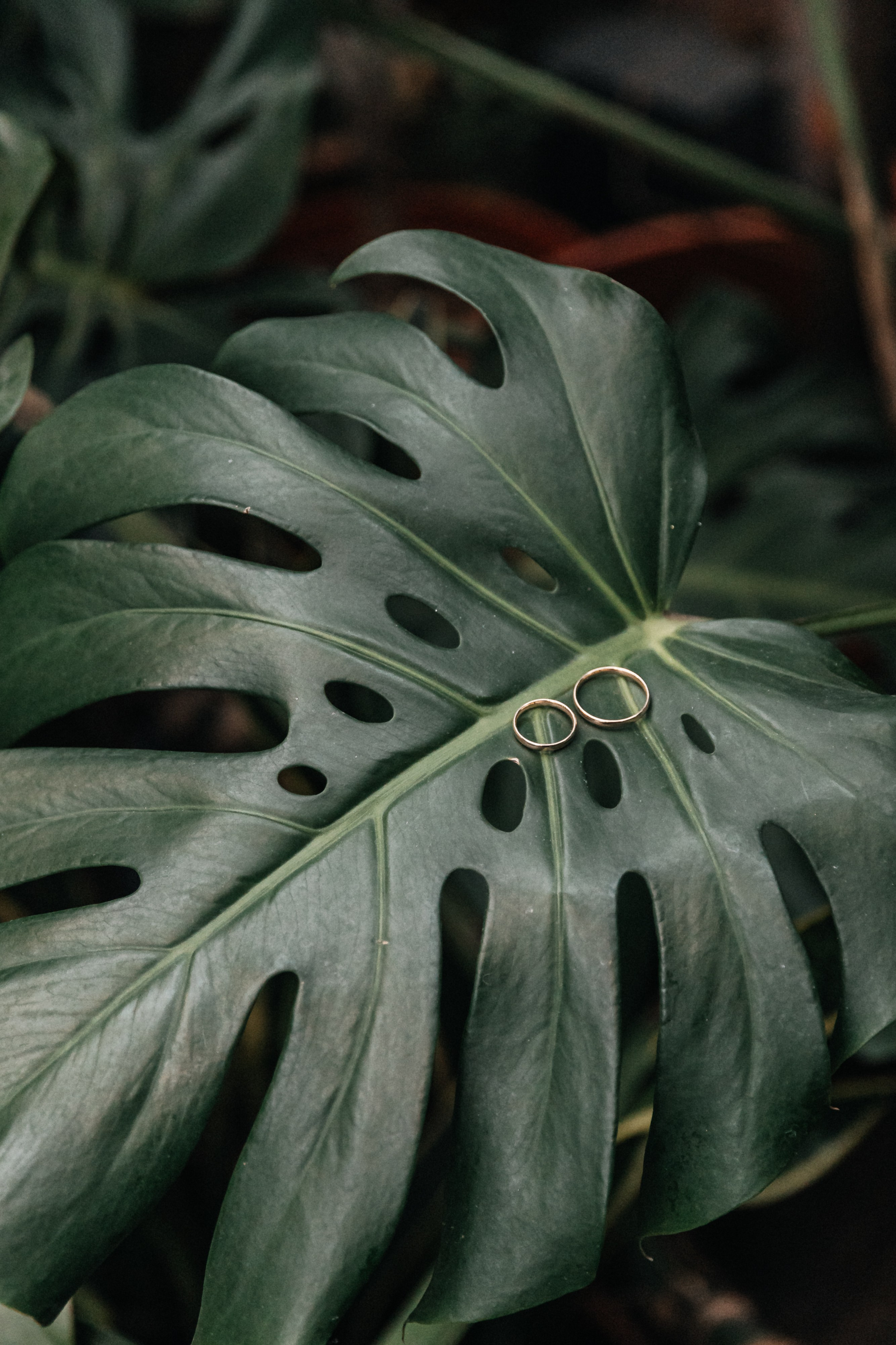 Лёша и Настя. Свадебный и семейный фотограф в Санкт-Петербурге Александр Озеров