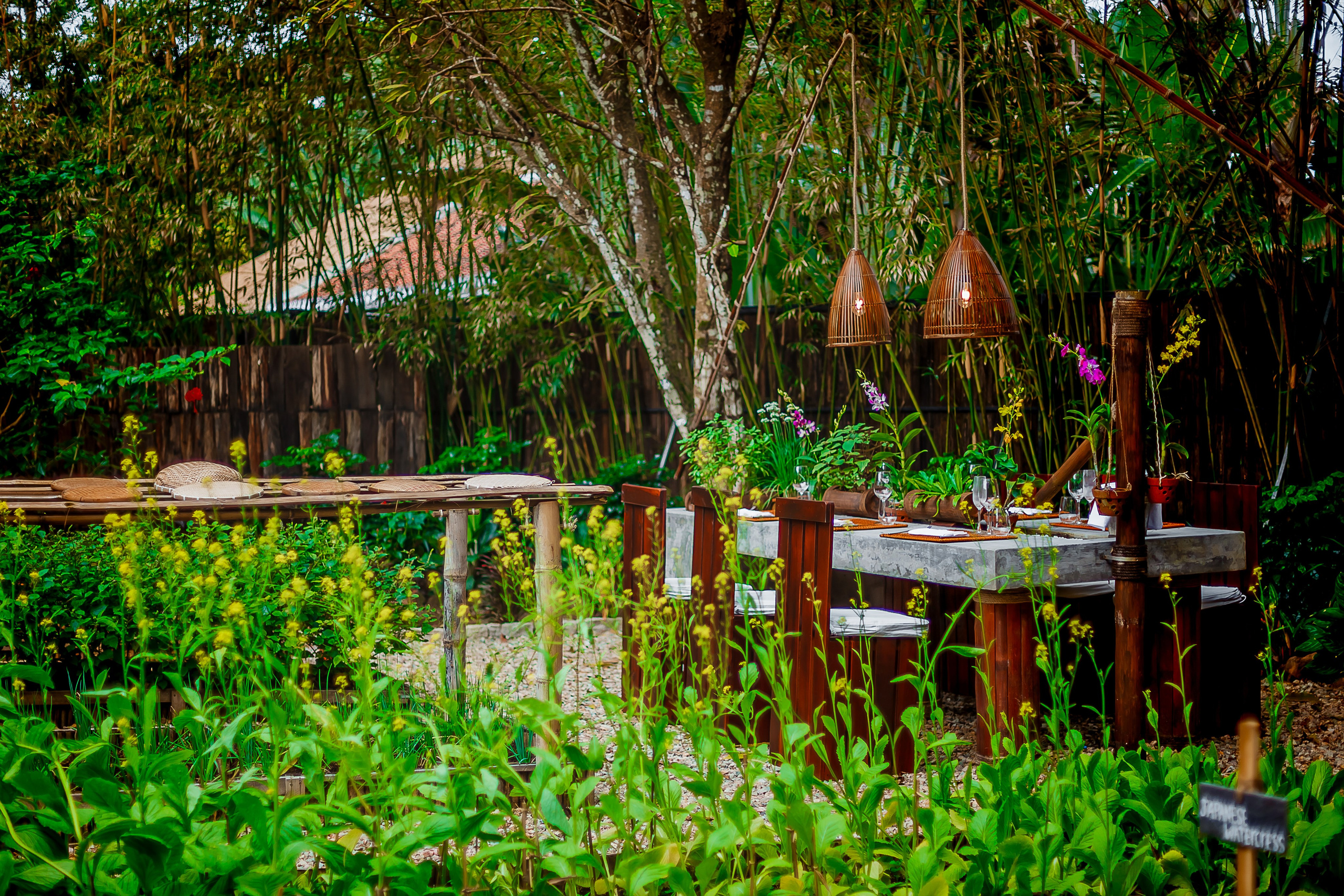 Репортажный фотограф Ялта. Репортажный фотограф Ялта