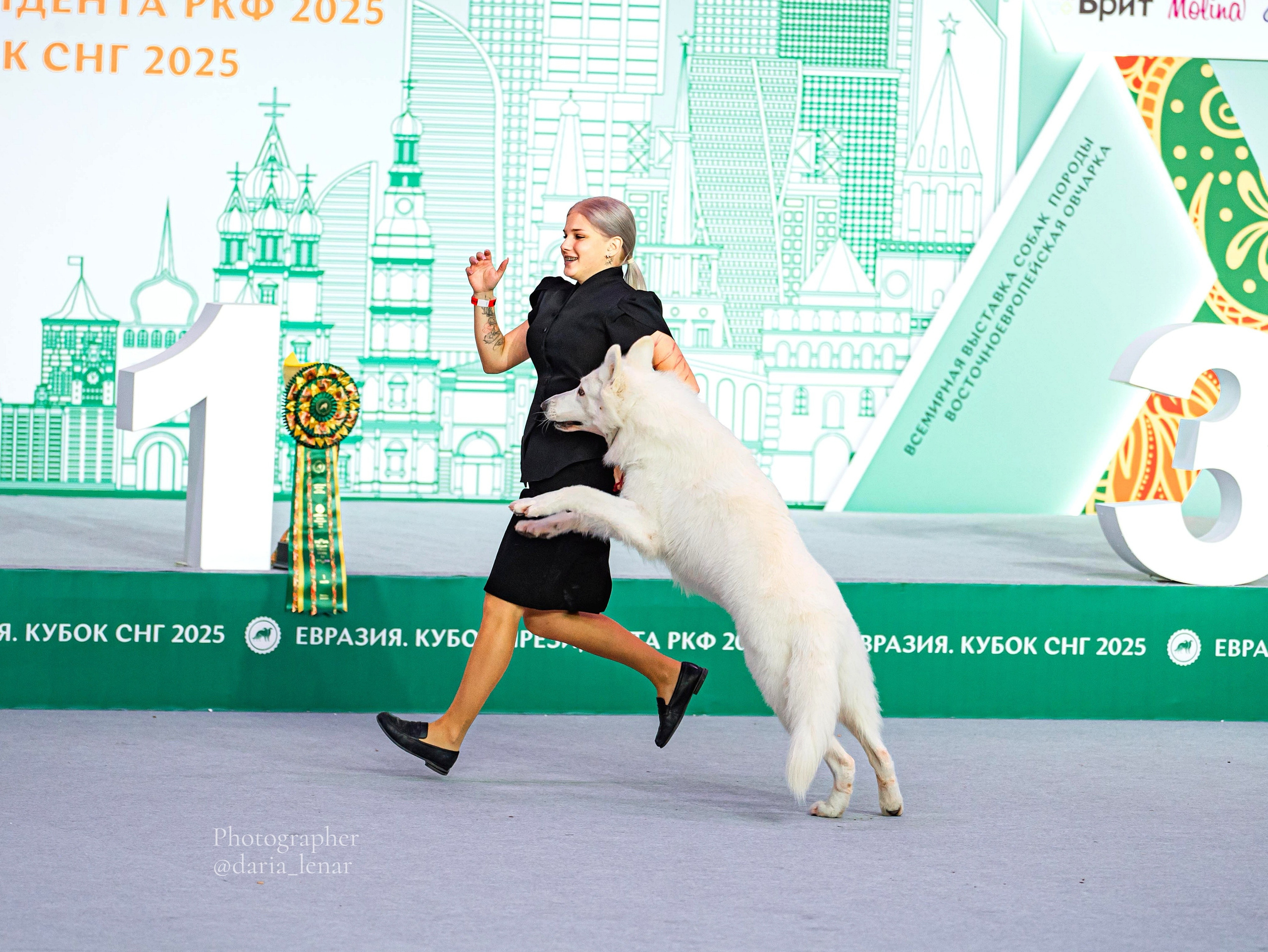 Выставки собак. Фотограф в Москве Ленарская Дарья