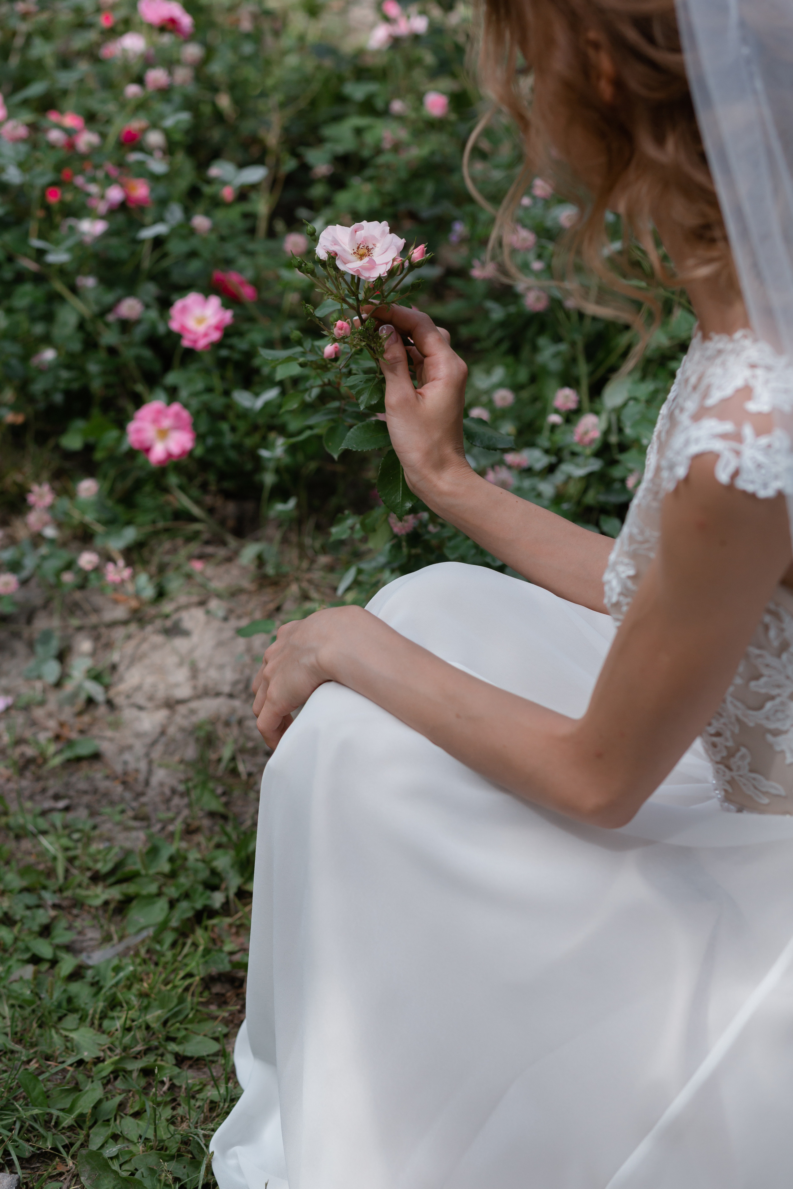 Виктория и Никита. Свадьба в Пушкине. Свадебный фотограф в Санкт — Петербурге и Ленинградской о