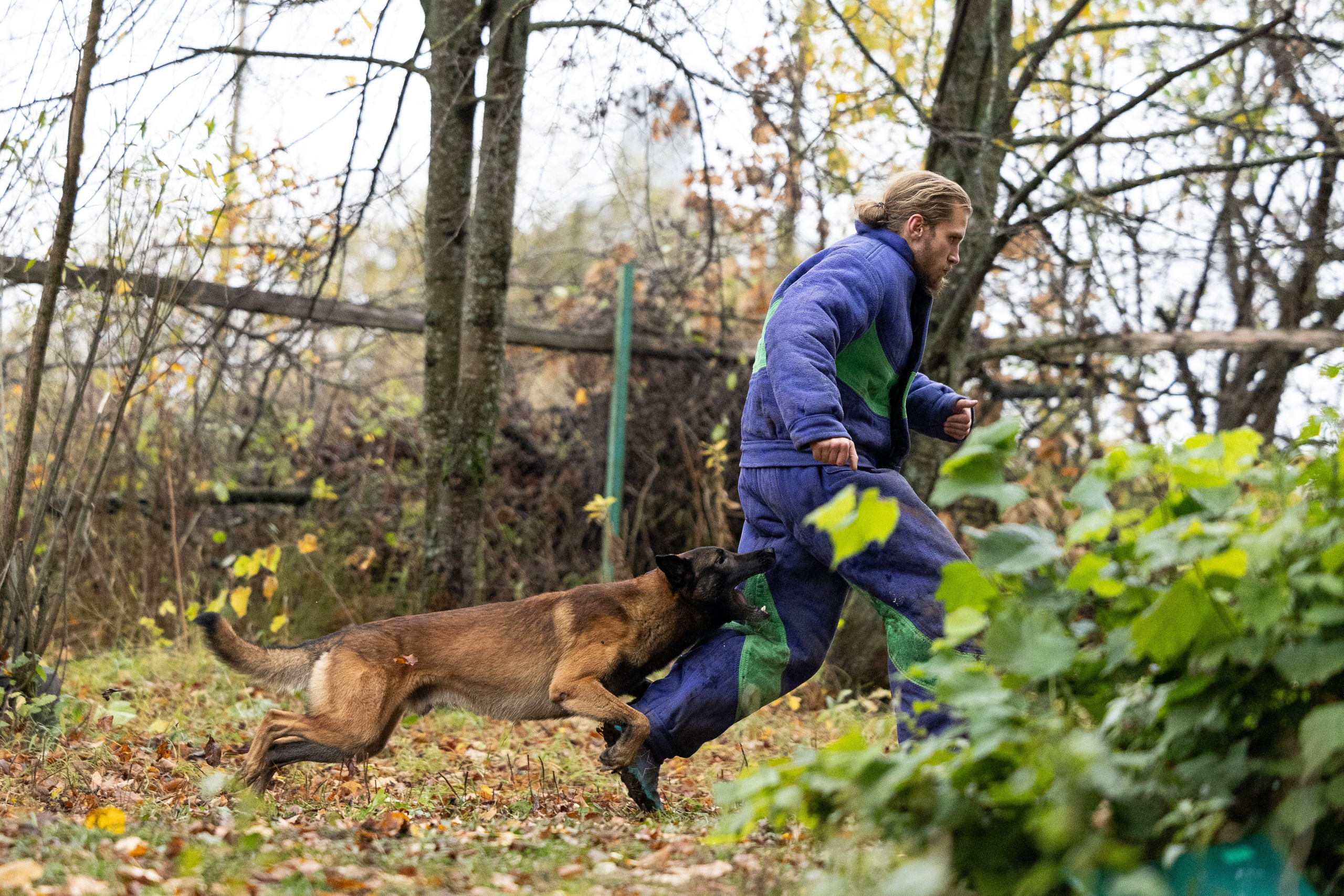 Соревнования по Мондьорингу г. Вологда. Фотограф-анималист Анна Маринич