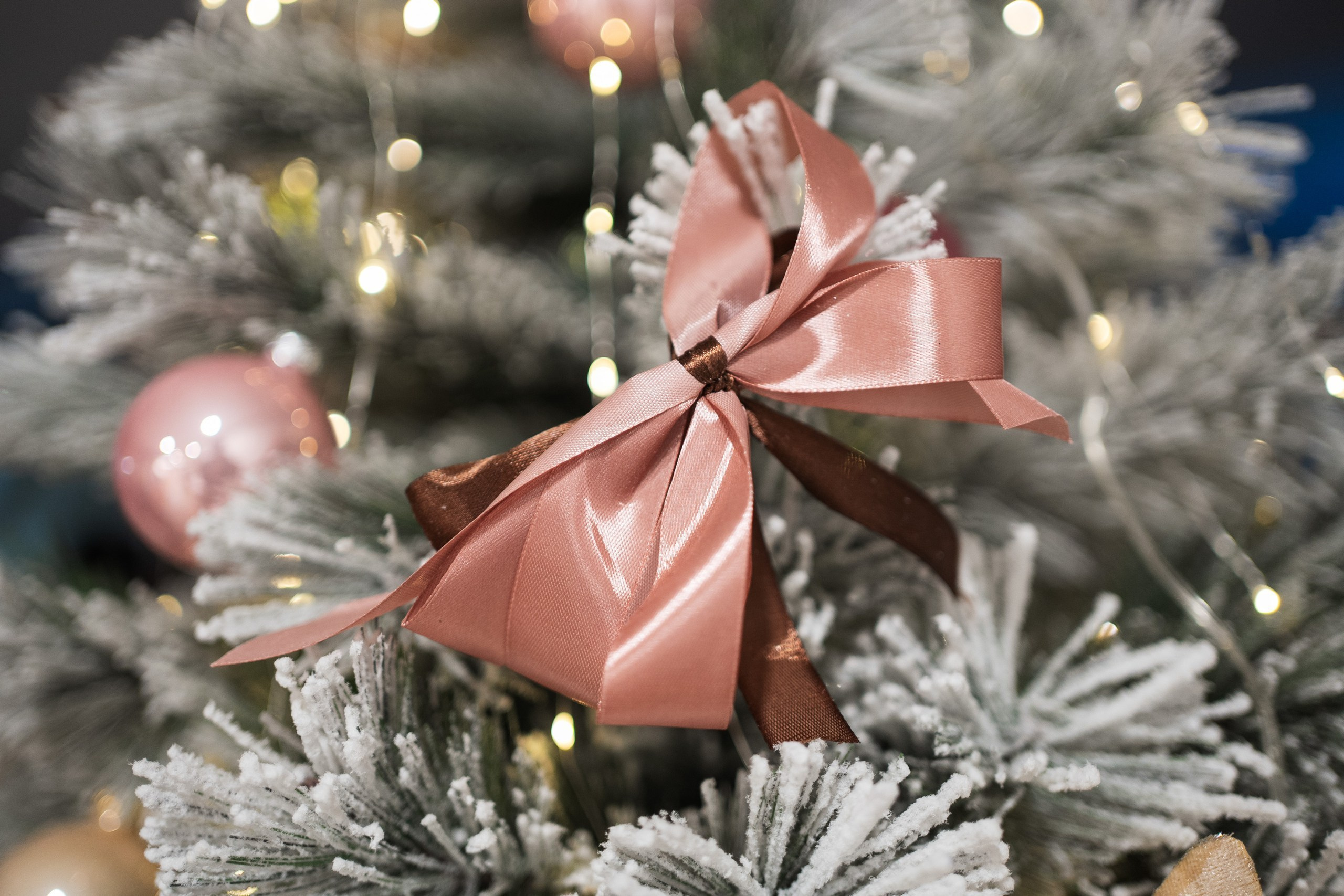 Отзывы. Фотограф на любое событие в Кемерово