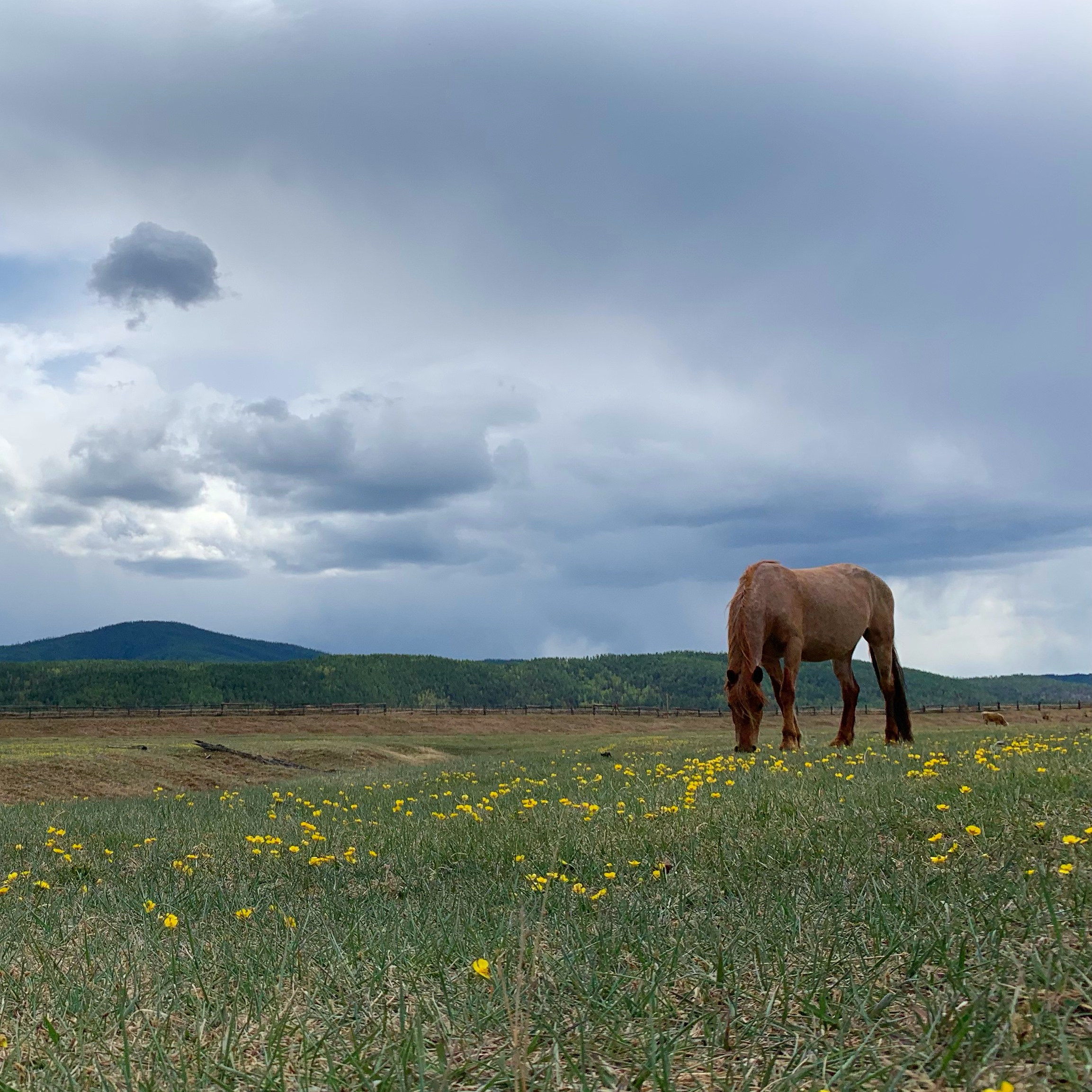 2019 год. Тащилин Сергей. Фотографии. Жизнь. Хобби