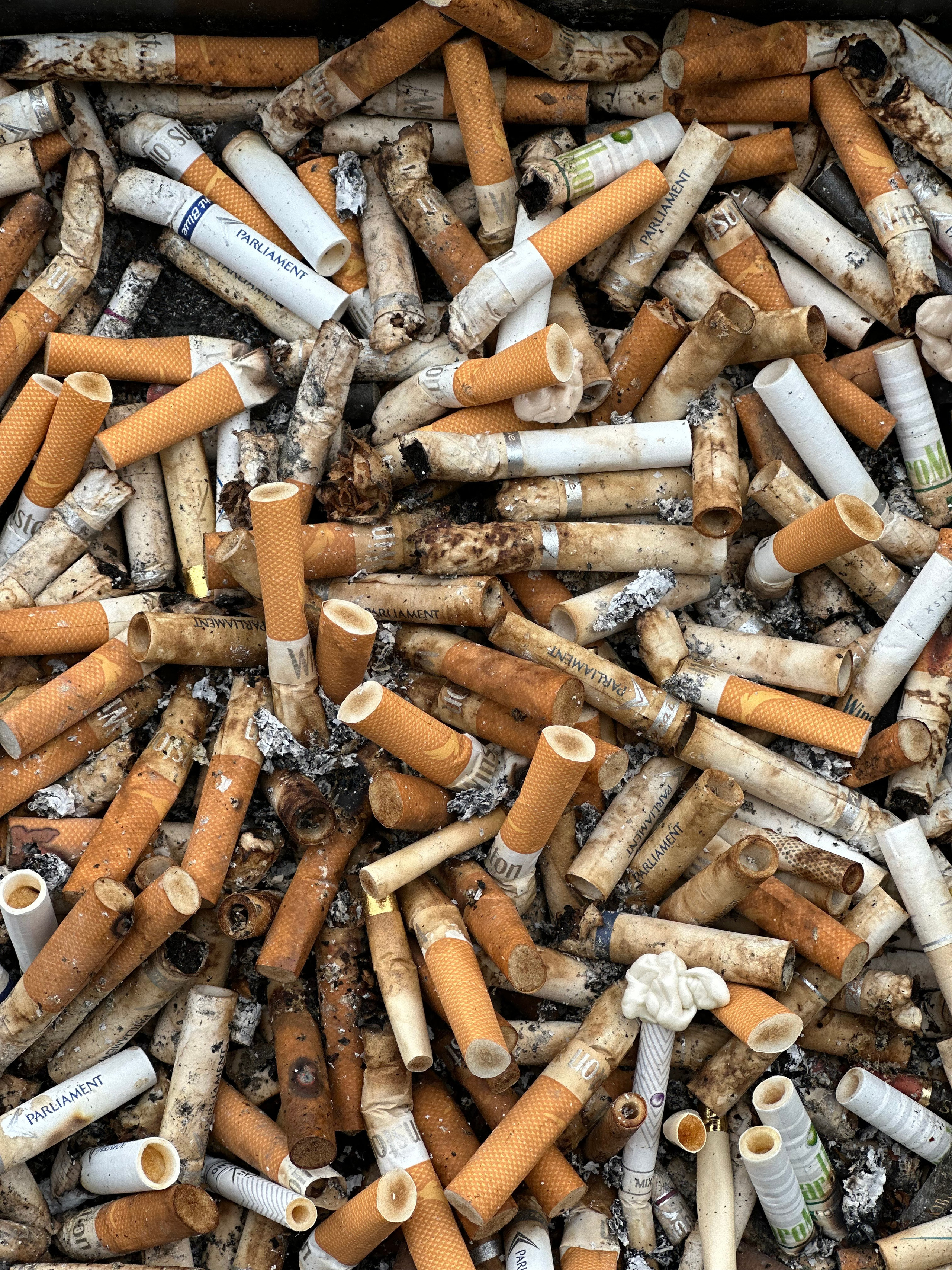 2024. Тащилин Сергей. Фотографии. Жизнь. Хобби