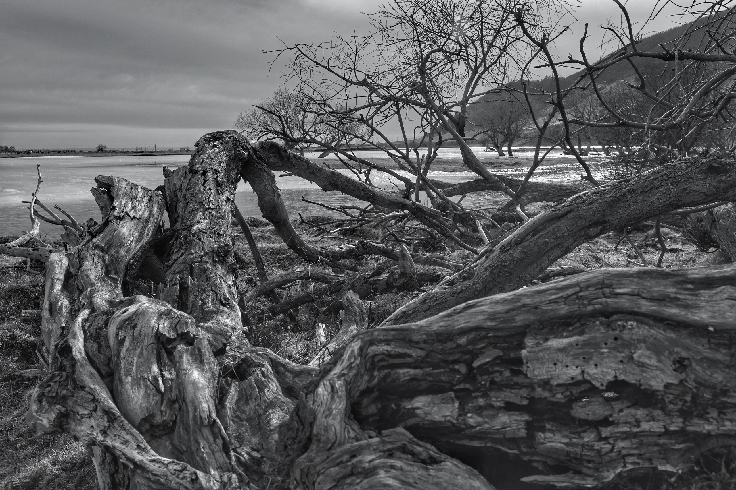 2025 год. Тащилин Сергей. Фотографии. Жизнь. Хобби