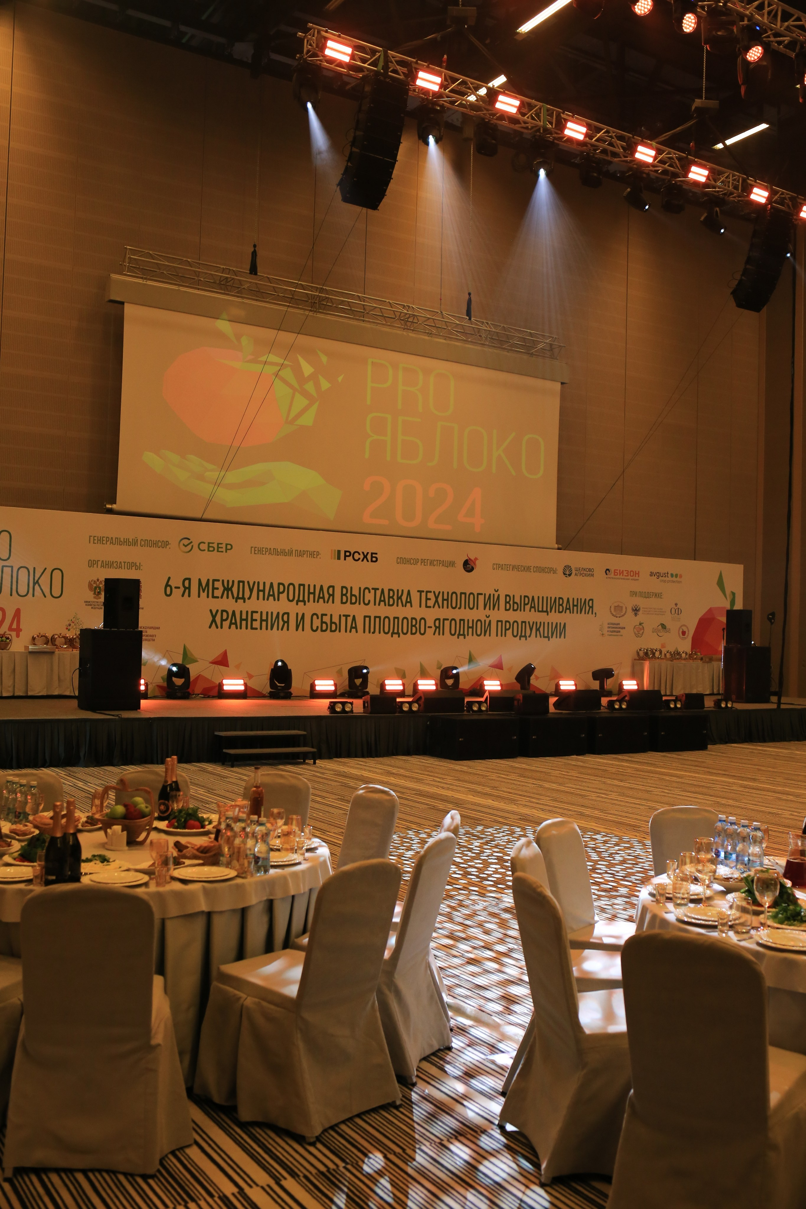 Светский ужин Про Яблоко 2024. Репортажный и свадебный фотограф Пятигорск и КМВ