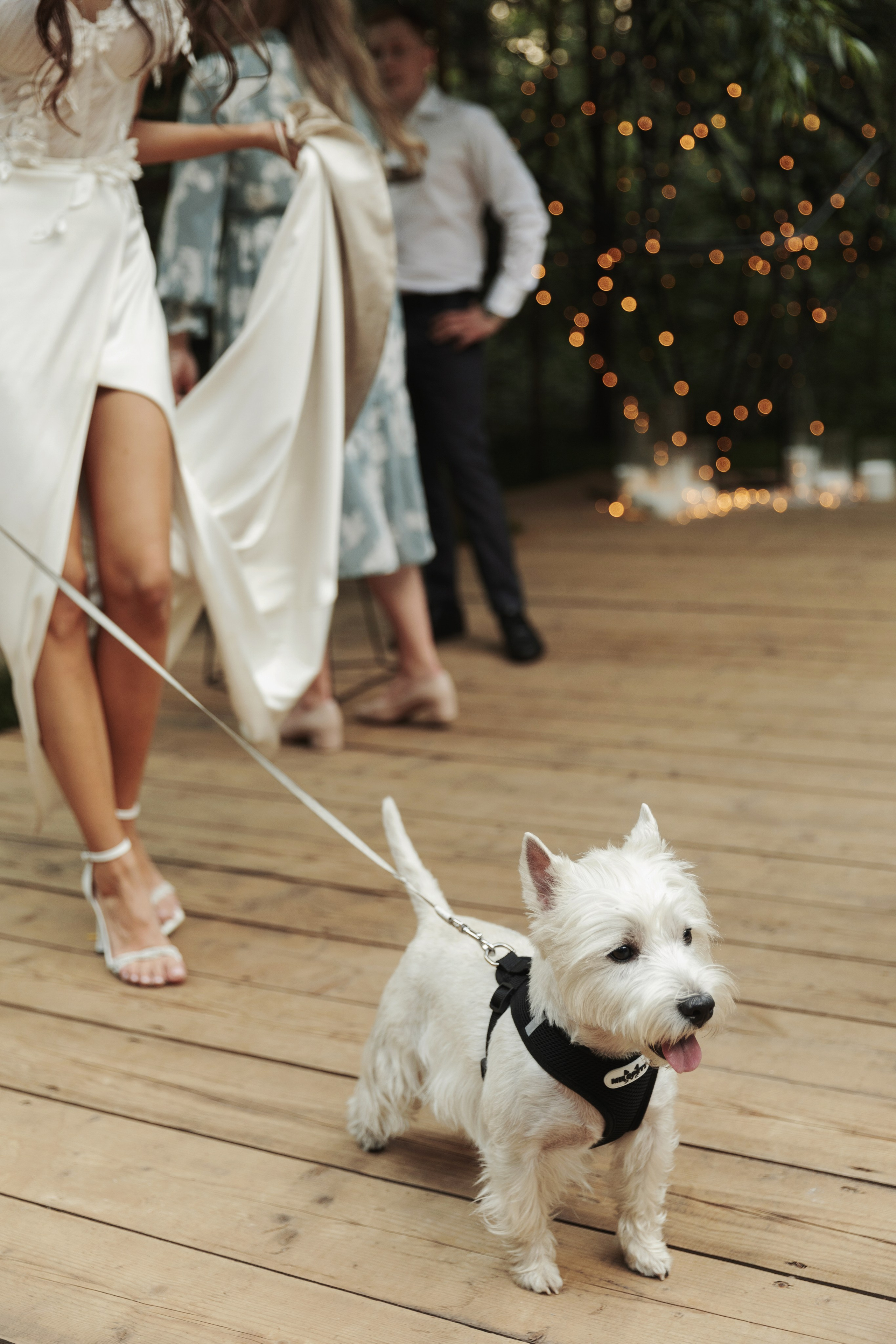 Свадебная съемка в отеле Hartwell, свадебная съемка в отеле Хартвел. Свадебный фотограф Москва Анастасия Храмова