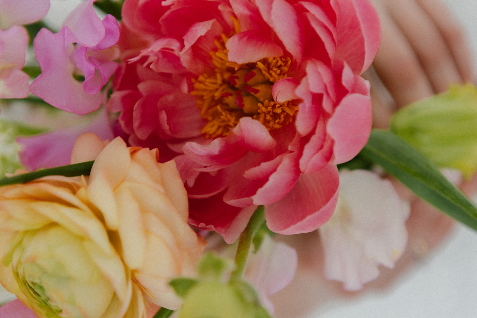 Соня и Сережа. Эстетичный свадебный репортаж в любом городе страны