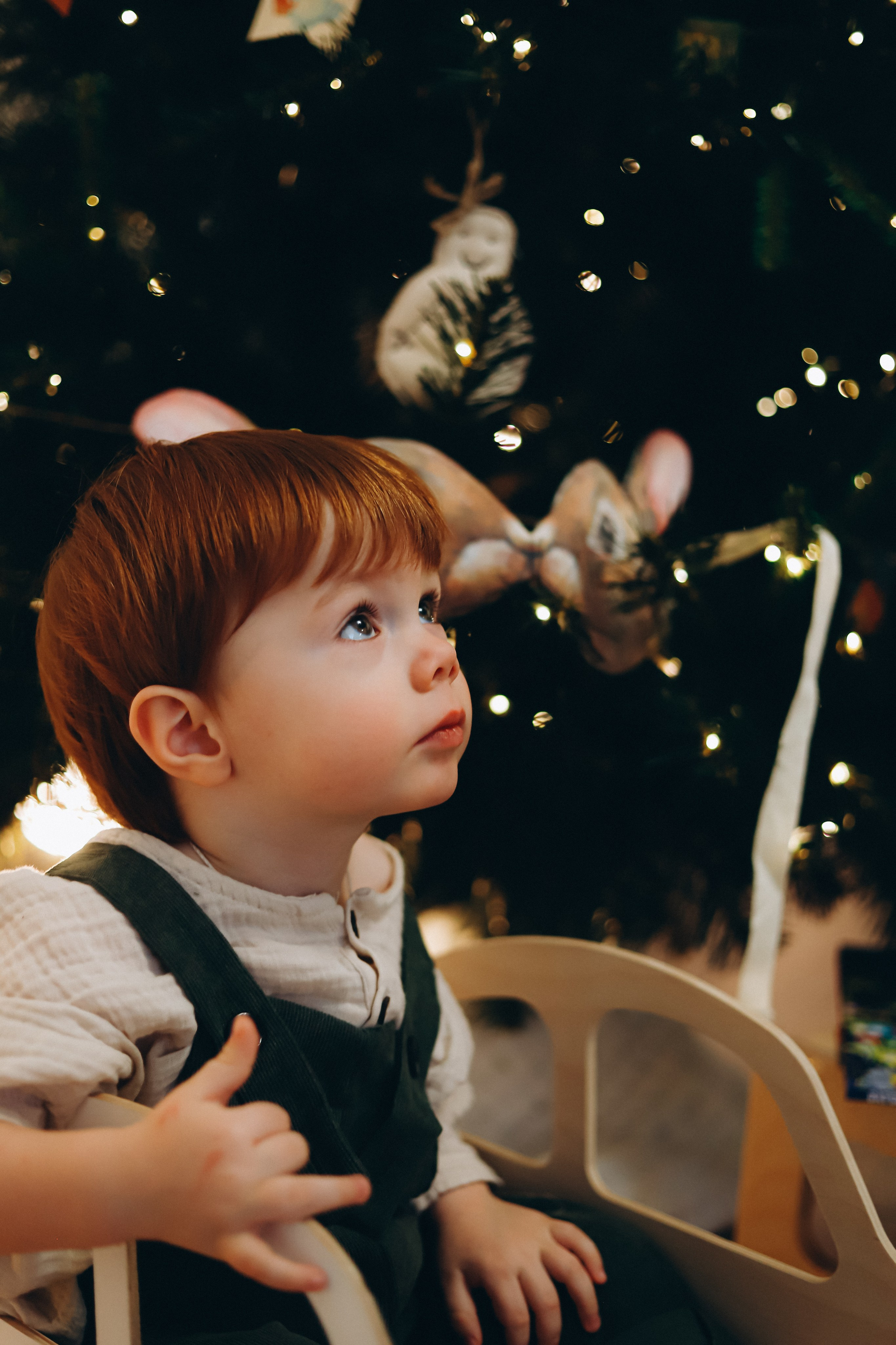 Домашняя новогодняя история. Алексей+Ксения+Дима. Услуги