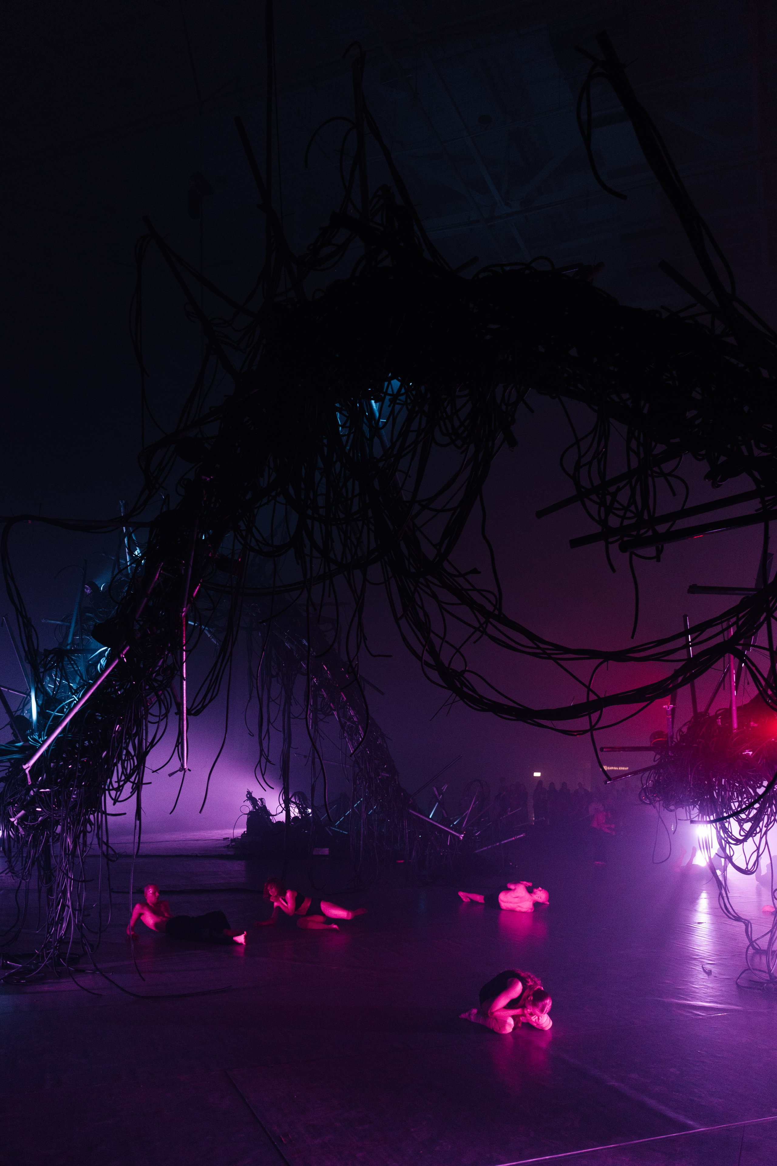 PERFORMA, The Hour of the Horse. @tomrus: Рустам Шагиморданов — фотограф