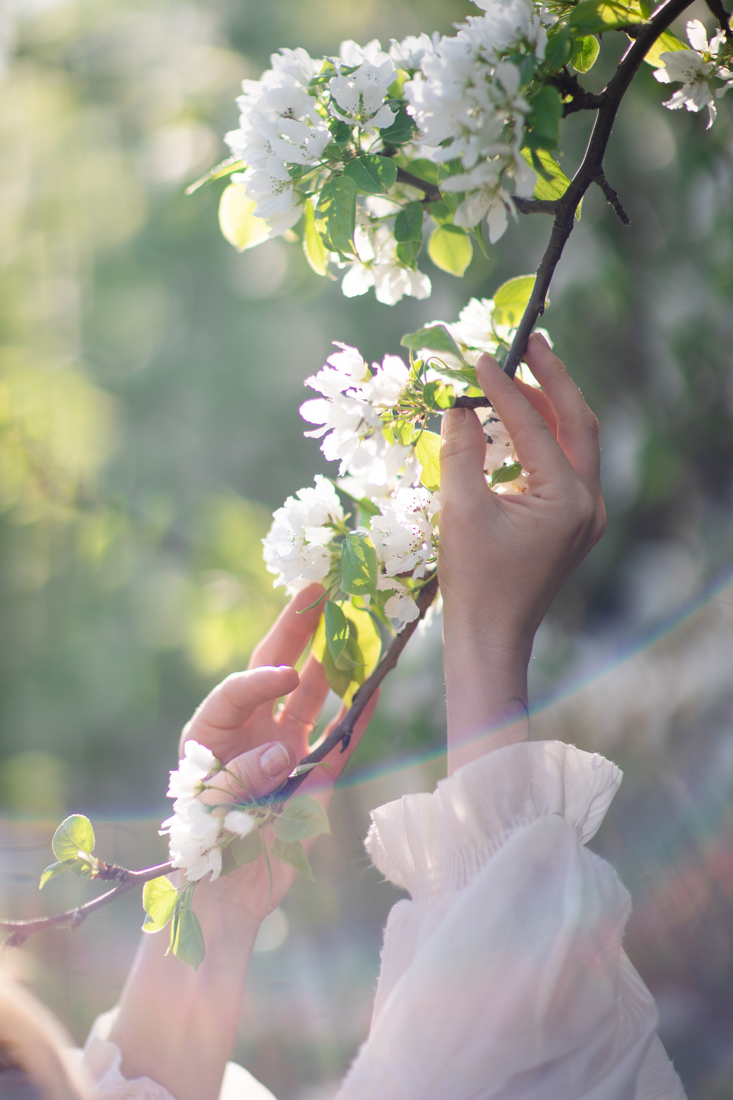 Наталия. Семейный фотограф в Москве Анастасия Гурьянова