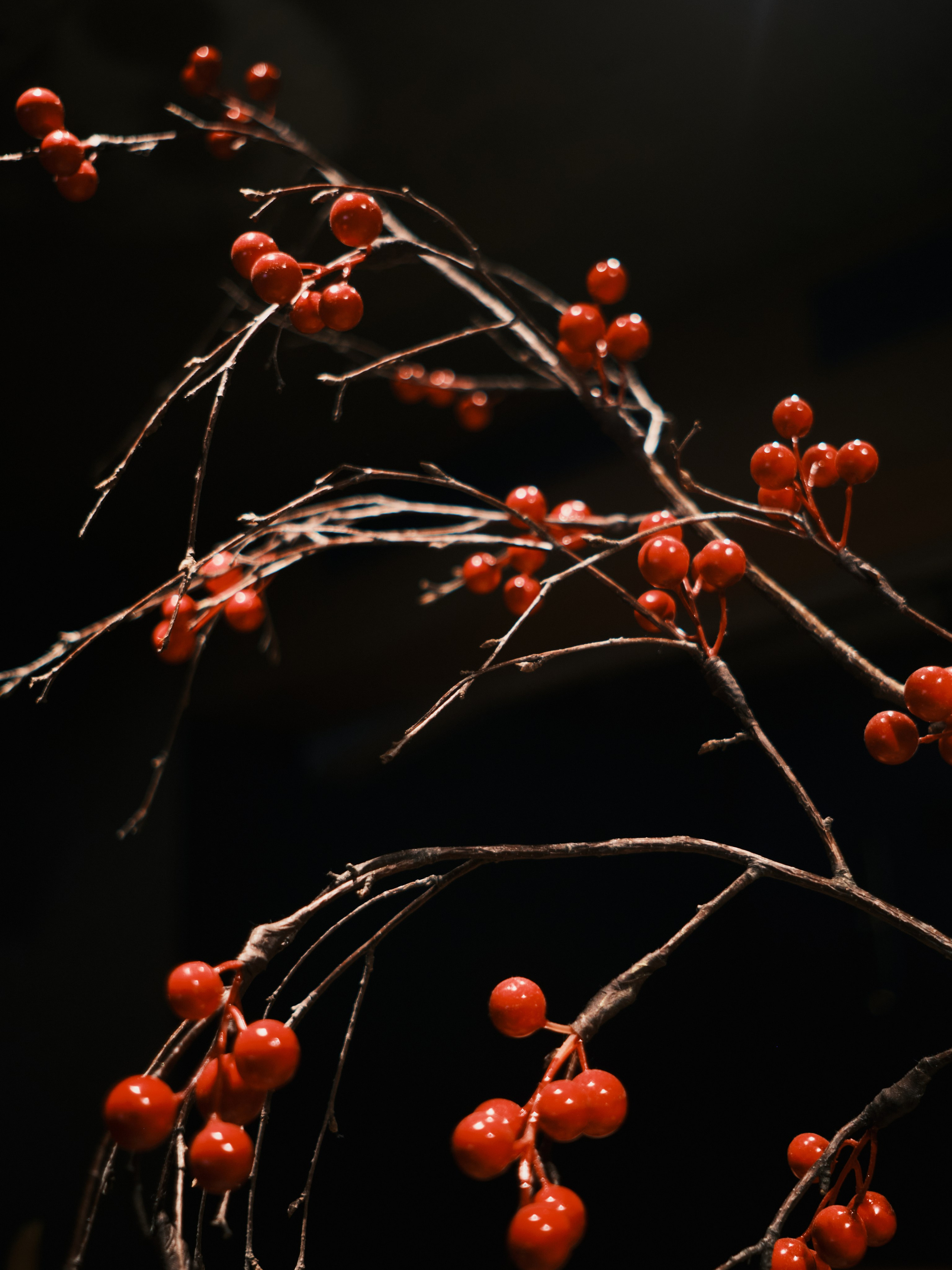 Content for Perelman People (Рыба моя, Well Well, Beerbrut, I like grill, I like wine). DISEMICHASNOVA