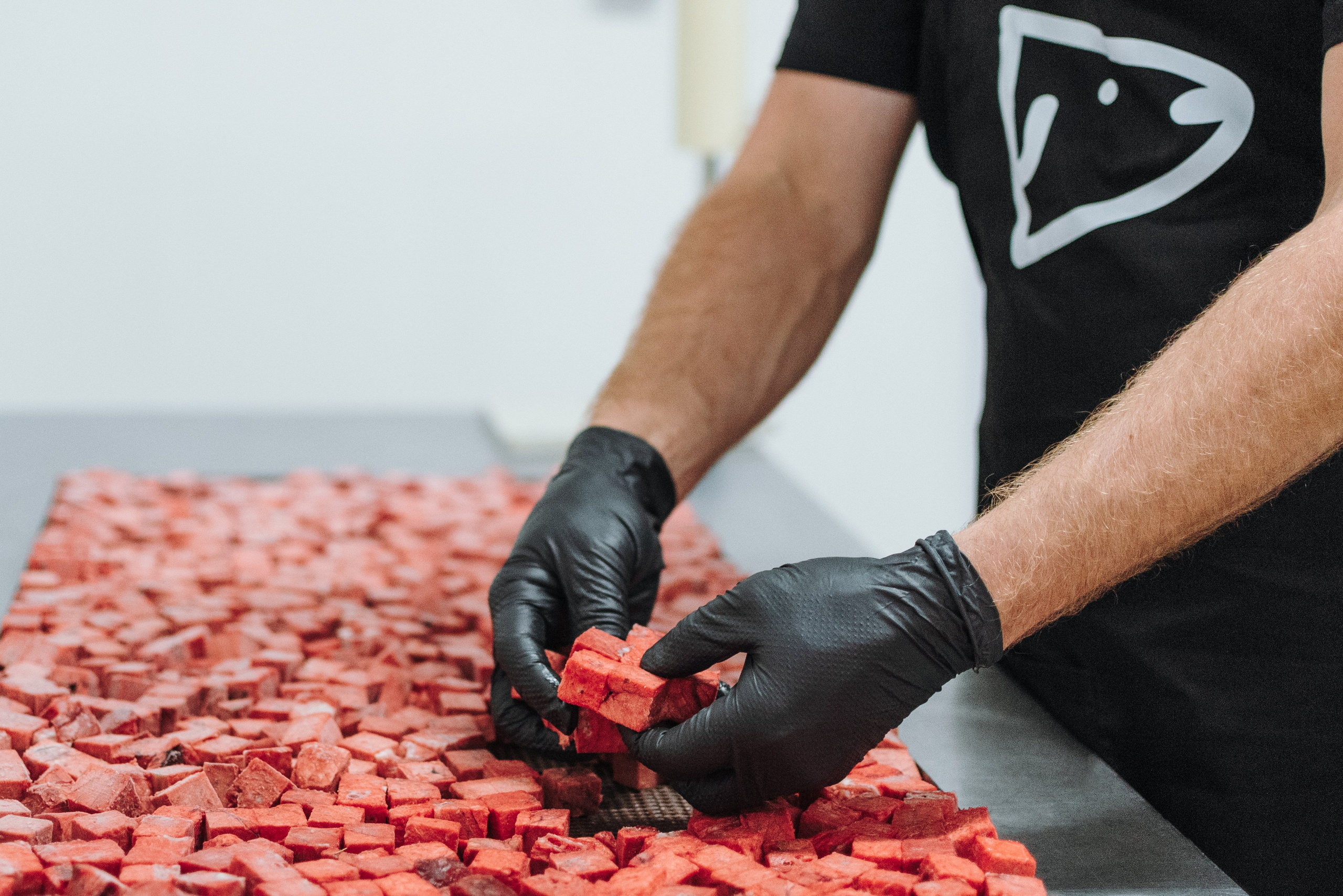 Dog Bone производство. Фотограф-анималист Валерия, Москва, Мытищи