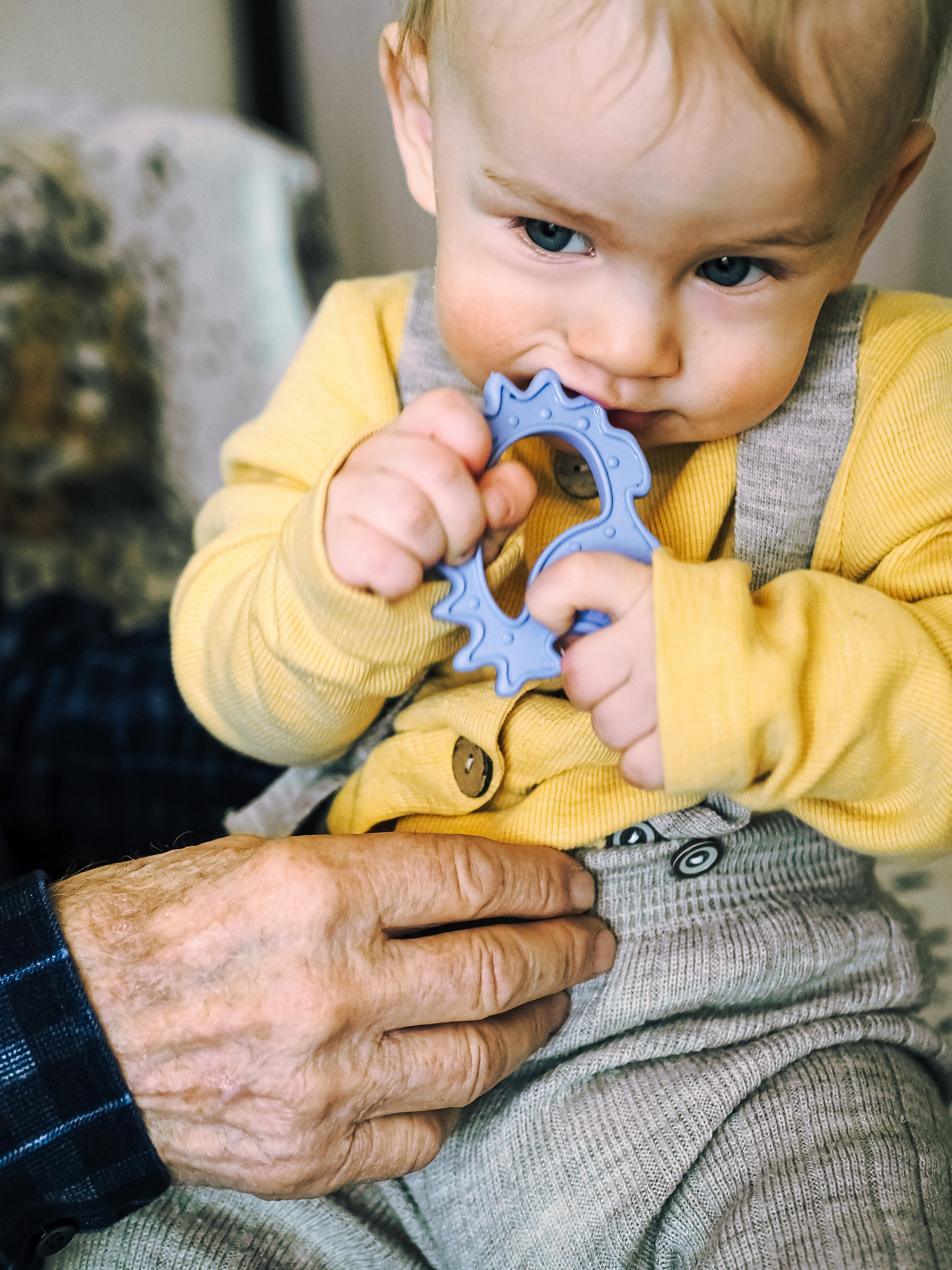 Николай, Александр, Ксения и Даниил. Семейный фотограф в Челябинске Ольга Быстрых