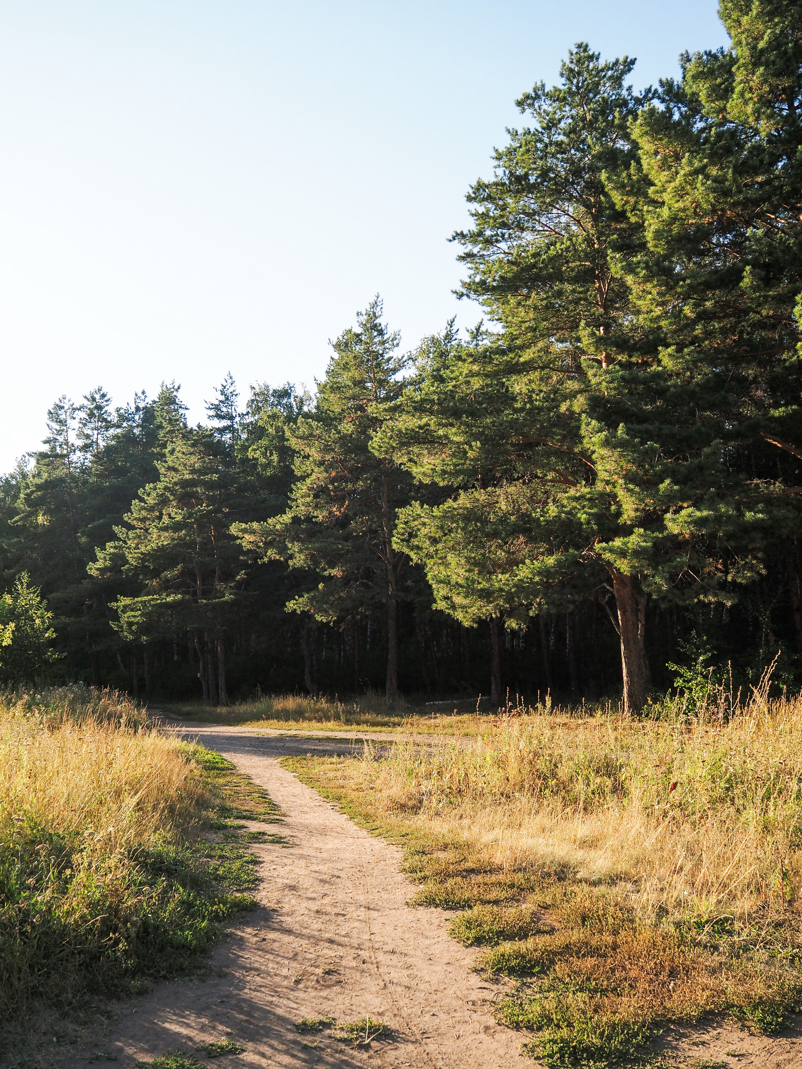 Денис, Агата, Ханна и Мишель. Семейный фотограф в Челябинске Ольга Быстрых