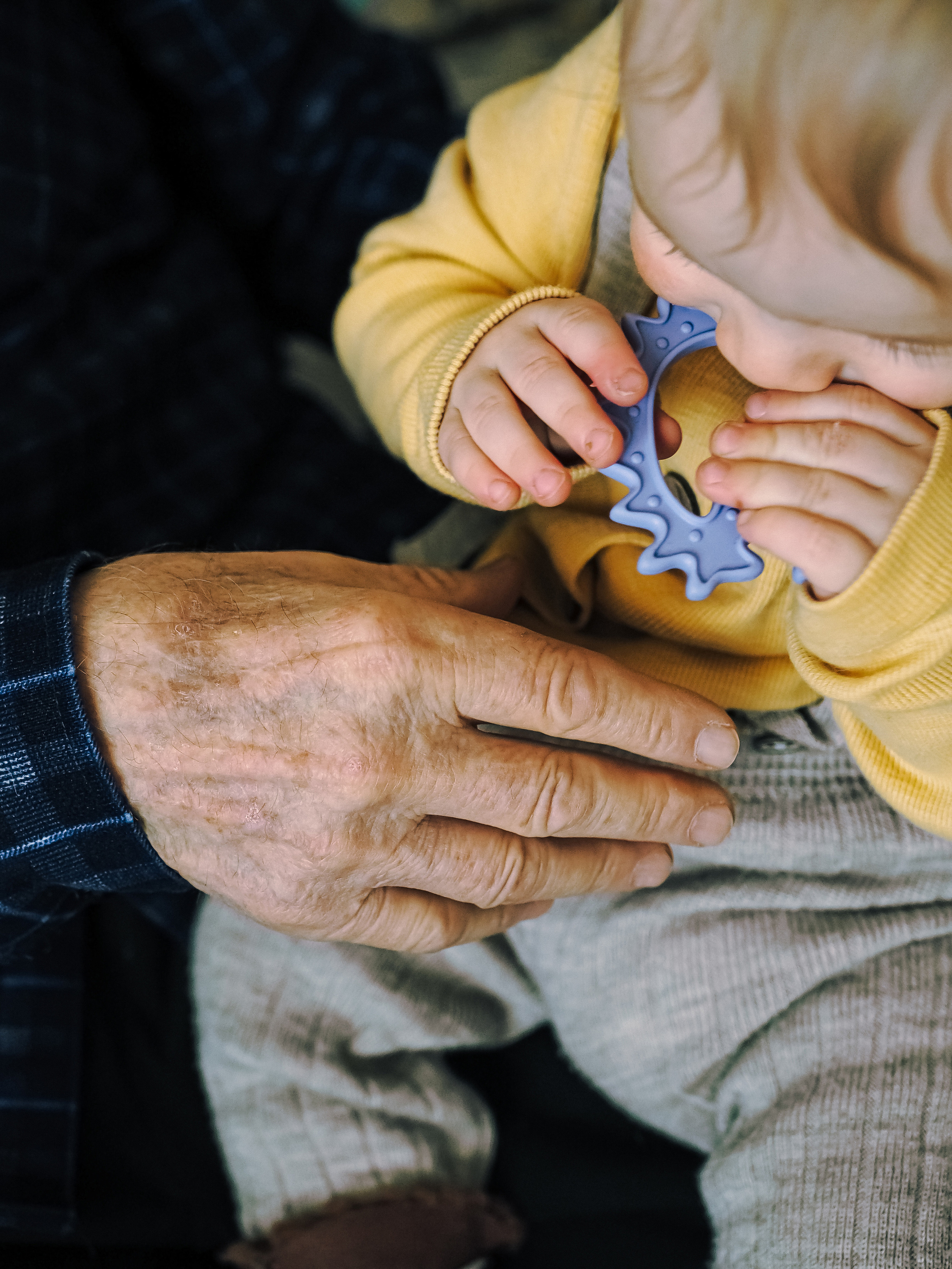 Николай, Александр, Ксения и Даниил. Семейный фотограф в Челябинске Ольга Быстрых