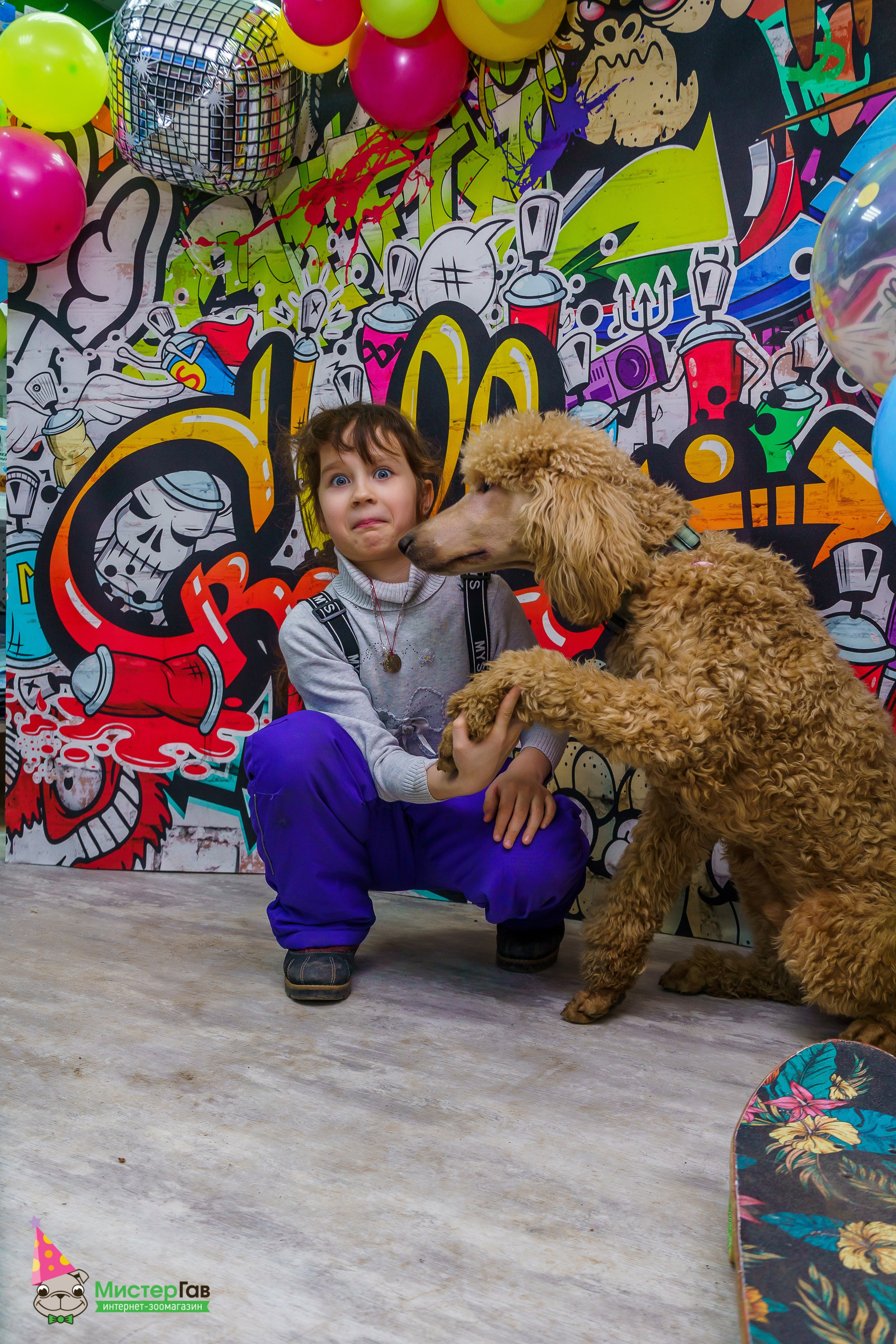 Мистер Гав -13 лет!. Фотограф Челябинск · Ольга Серебрякова