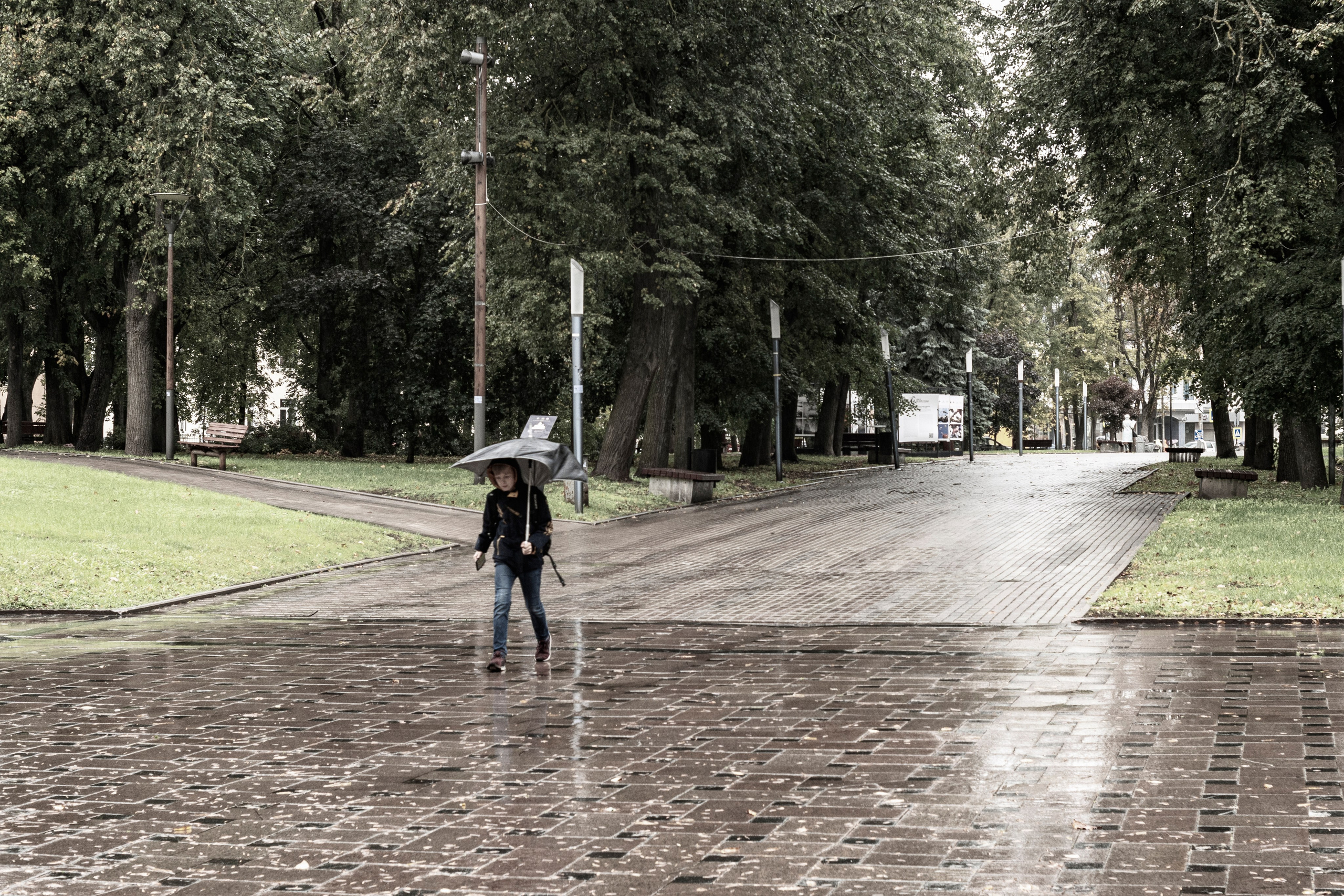 Псков. Октябрь 2023. Фотограф Роман Адлер