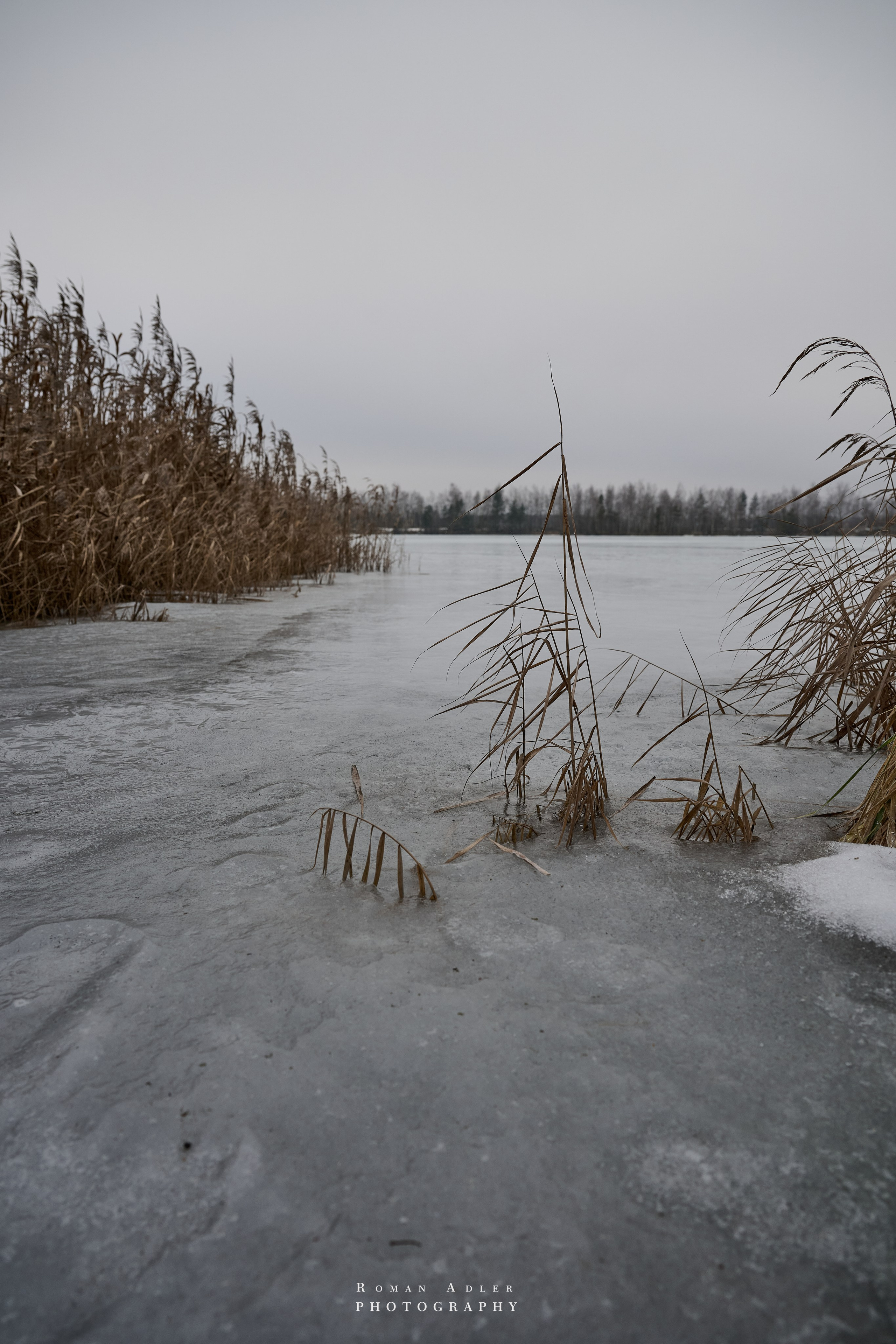 Место силы…. Фотограф Роман Адлер