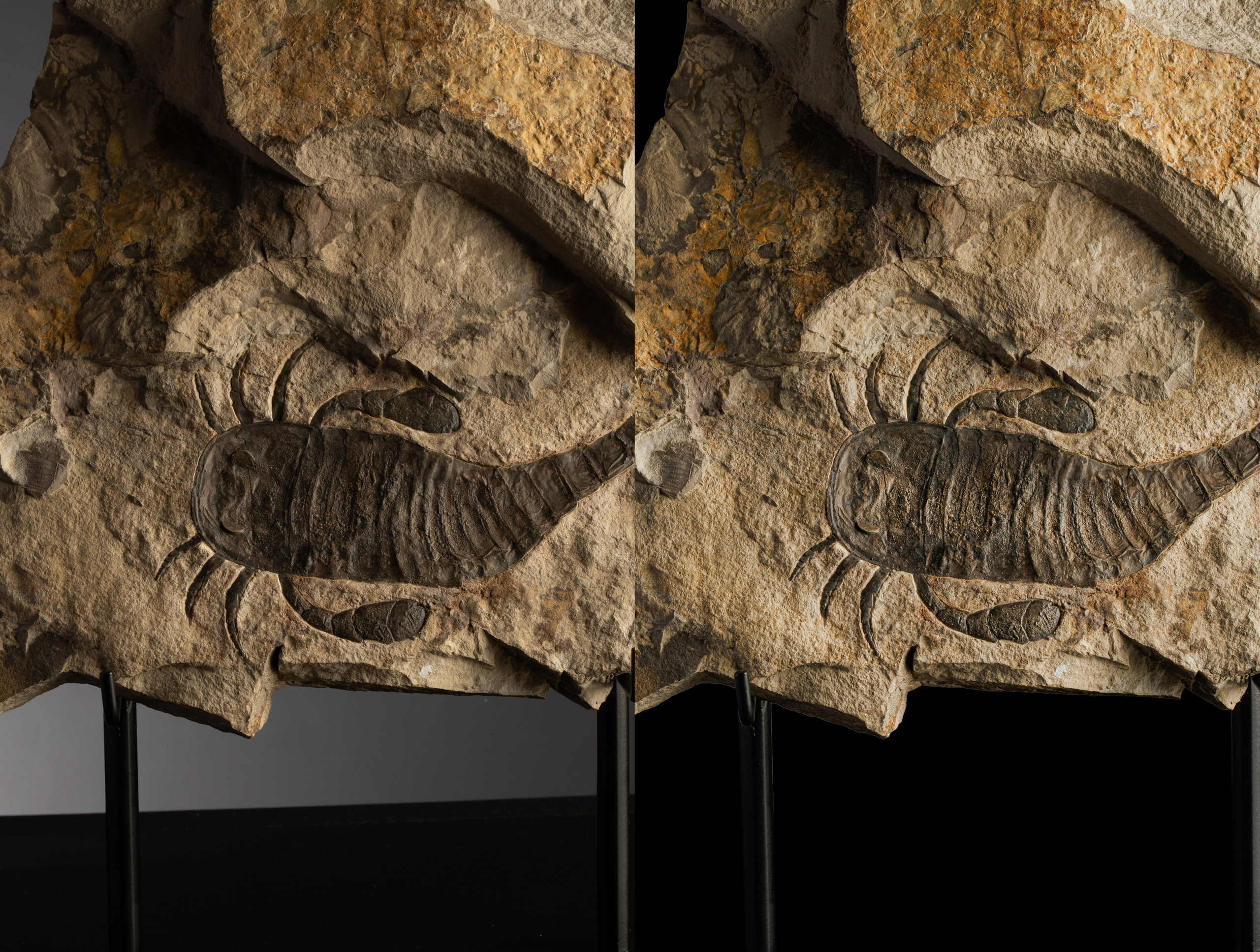 Предметы коллекционирования