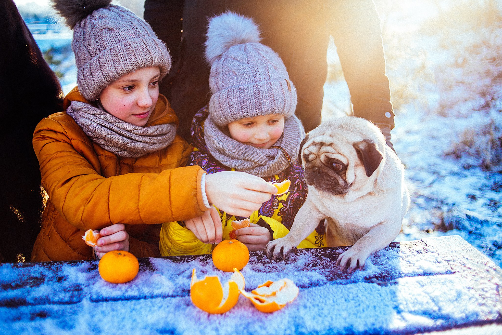 Зимняя фотопрогулка на мещерском озере с мандаринами. Детский и семейный фотограф, фотограф мероприятий Нижний Новгород