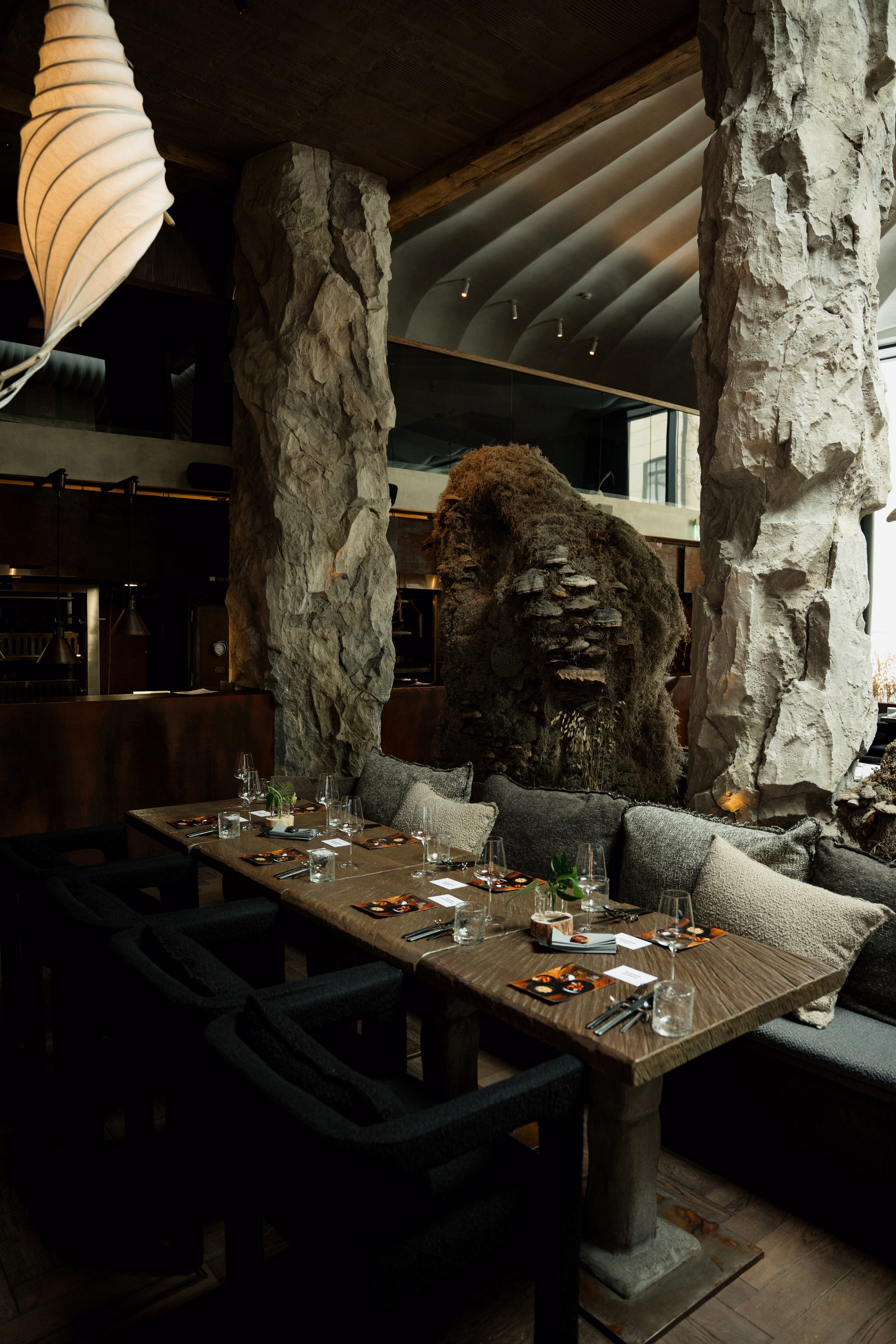 MAYR VEDA. Yankovski_001