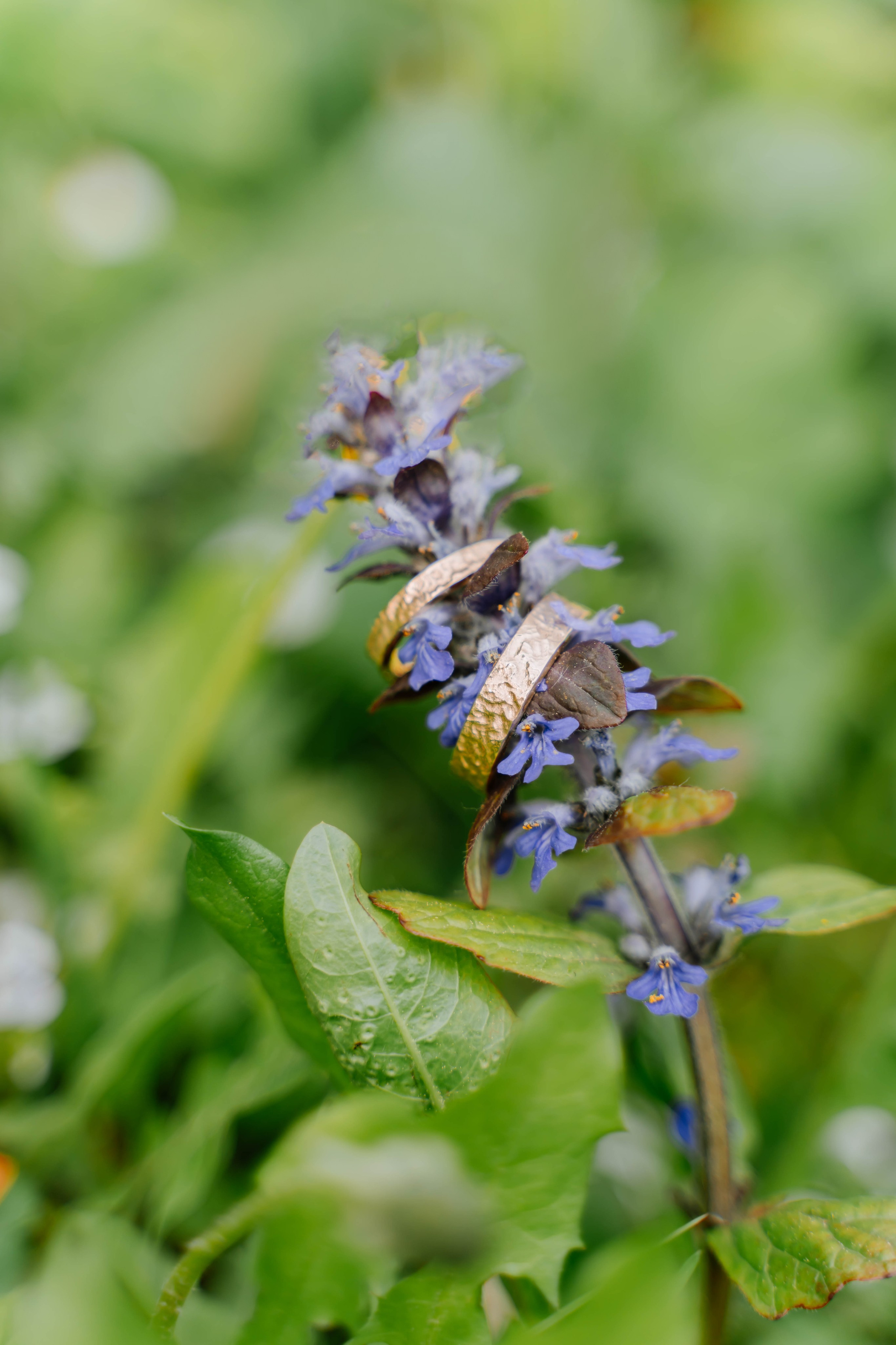 Дмитрий и Инга. Фотограф Елизавета Савина