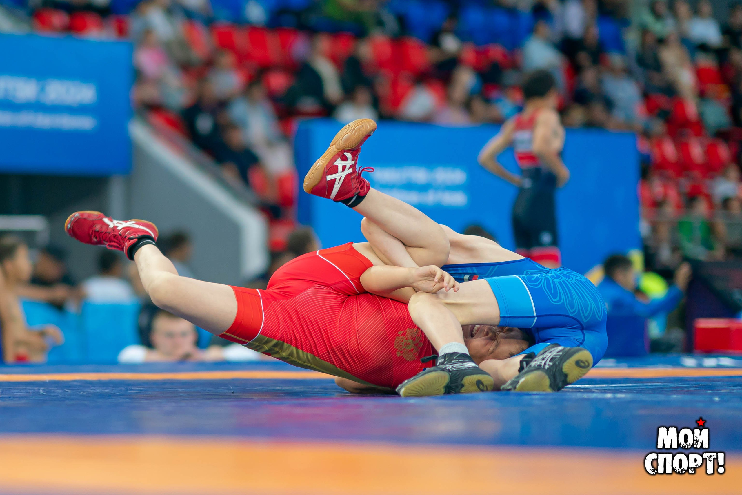 Соревнования по вольной борьбе в честь П. П. Пинигина. Студия «Мой Спорт!» — все о спорте в Якутии