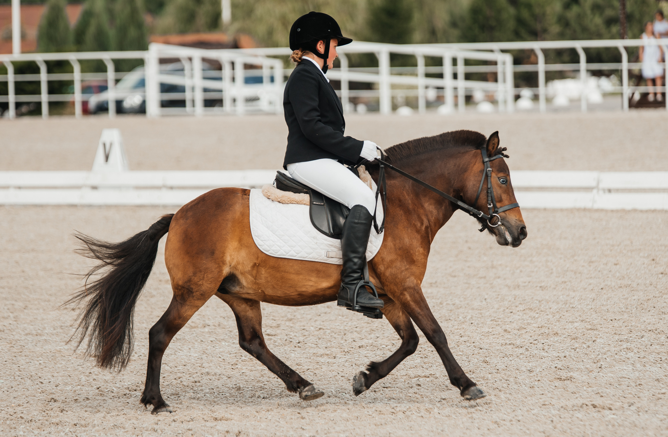 КСК История 19–20 августа 2023 года. Фотограф Рязань