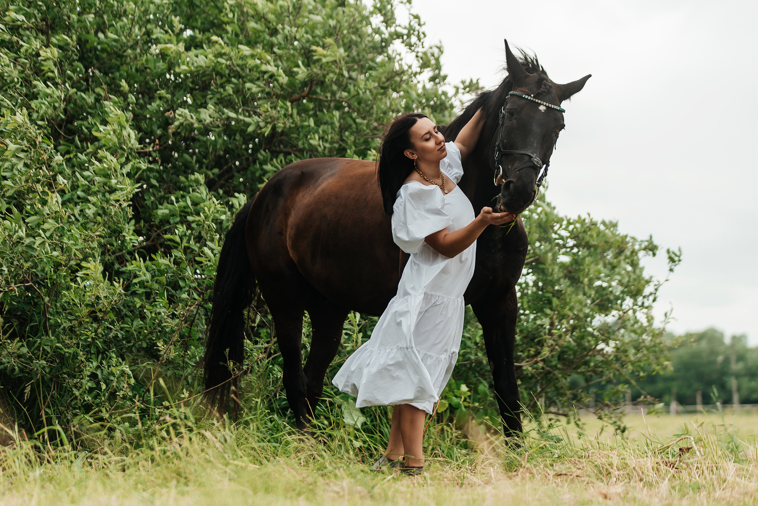 Фотосессии с лошадьми. Фотограф Рязань