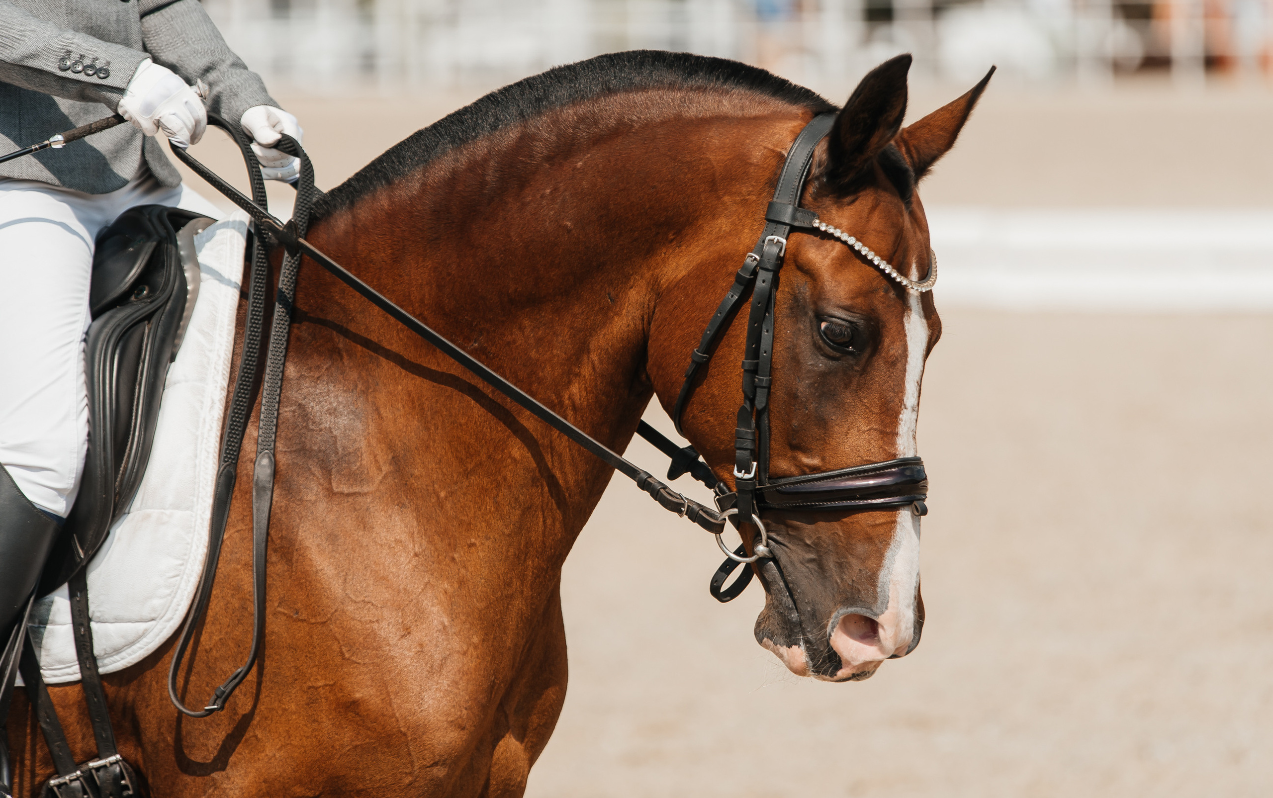 КСК История 19–20 августа 2023 года. Фотограф Рязань