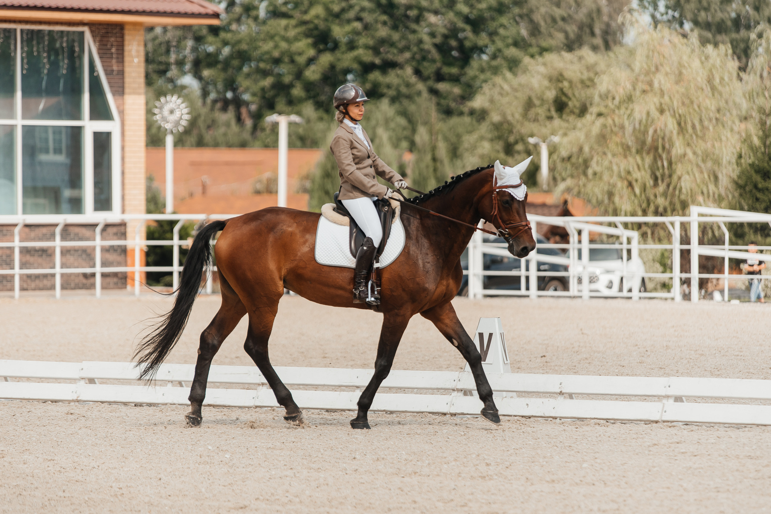 КСК История 19–20 августа 2023 года. Фотограф Рязань