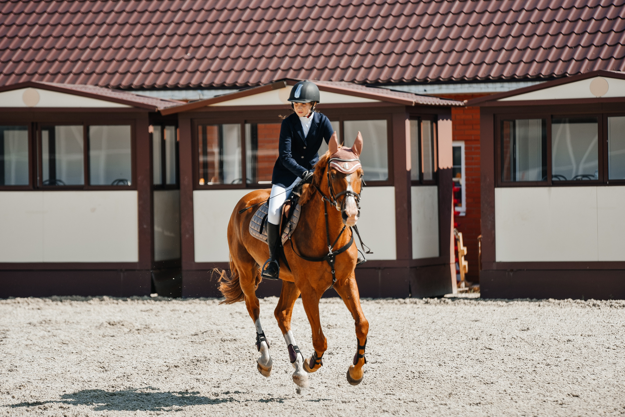 КСК История 19–20 августа 2023 года. Фотограф Рязань