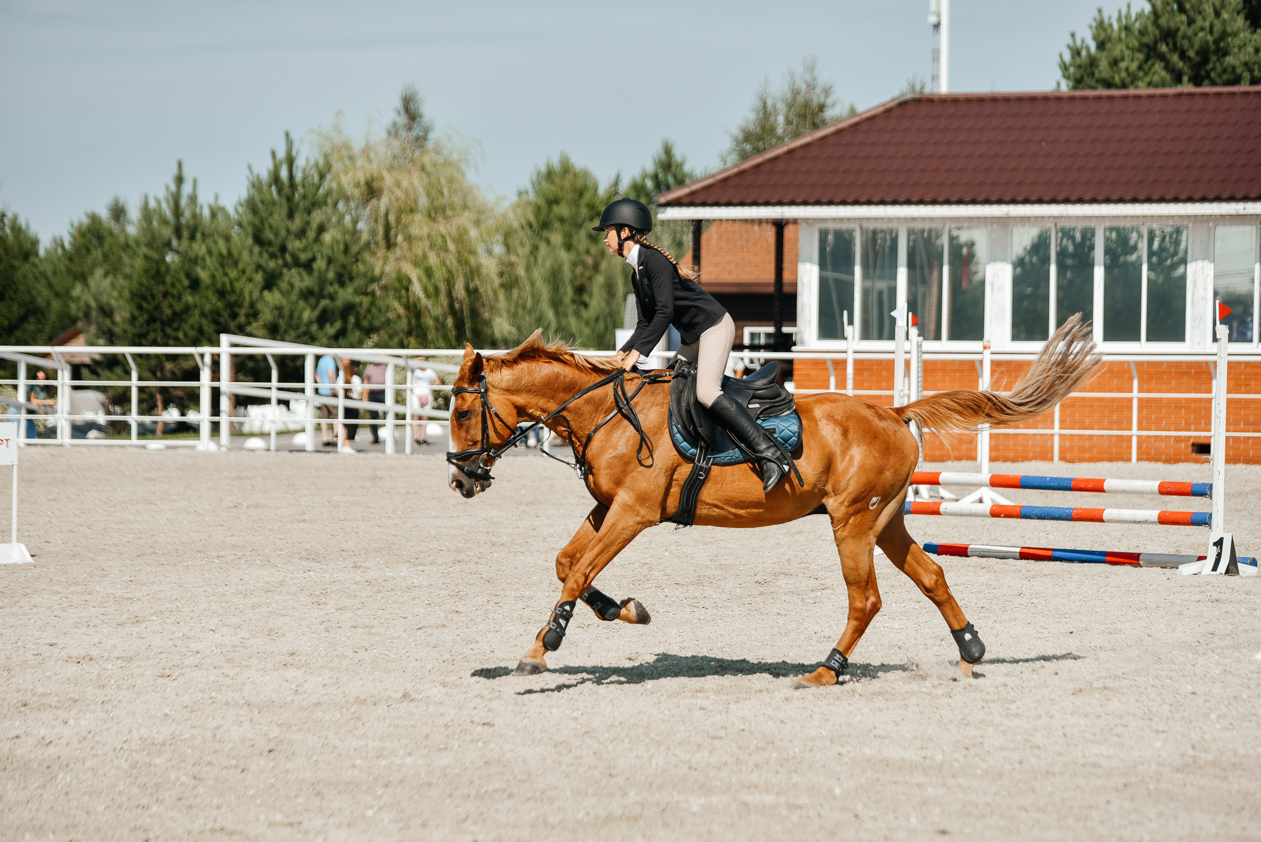 КСК История 19–20 августа 2023 года. Фотограф Рязань