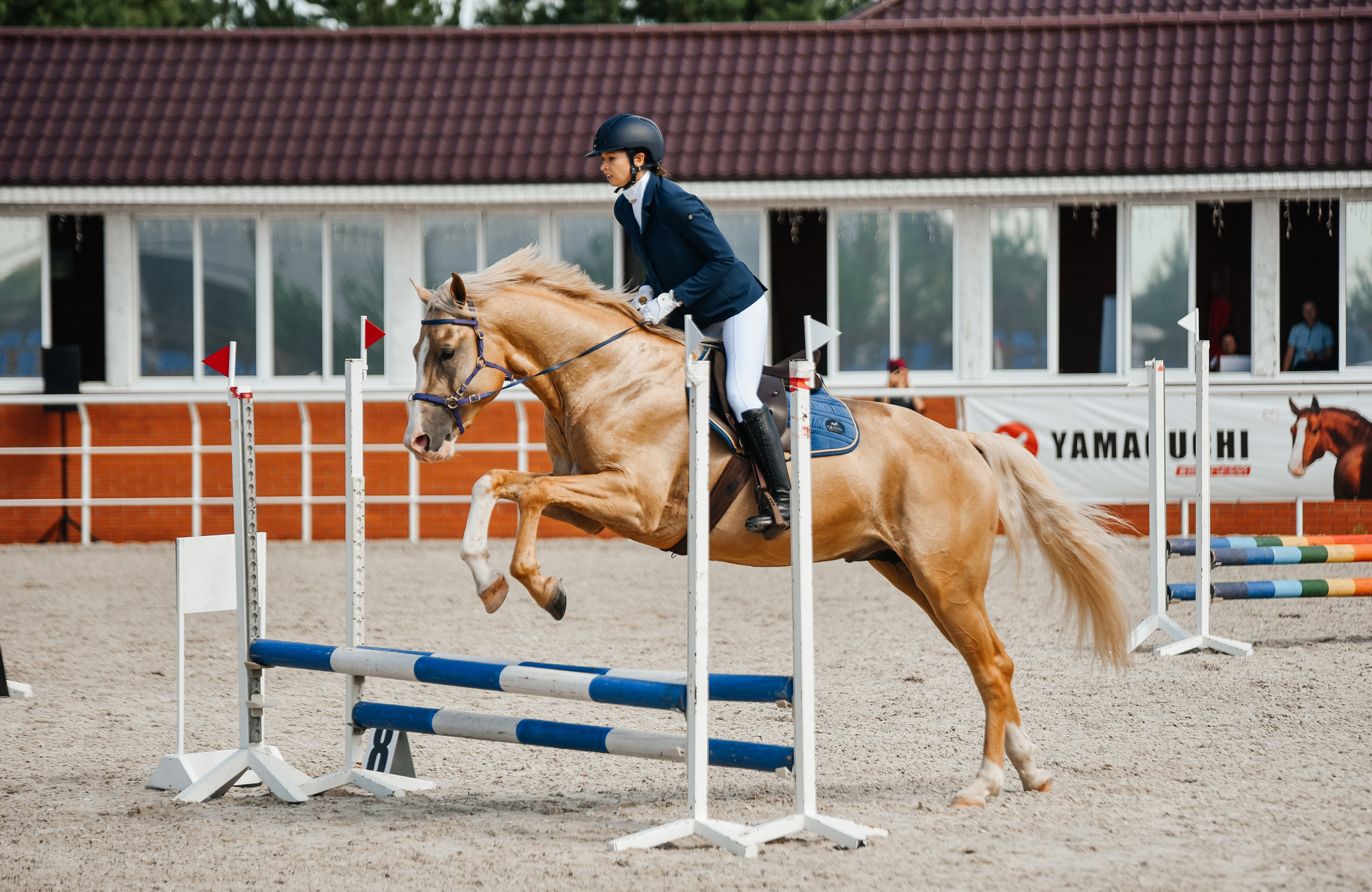 КСК История 19–20 августа 2023 года. Фотограф Рязань