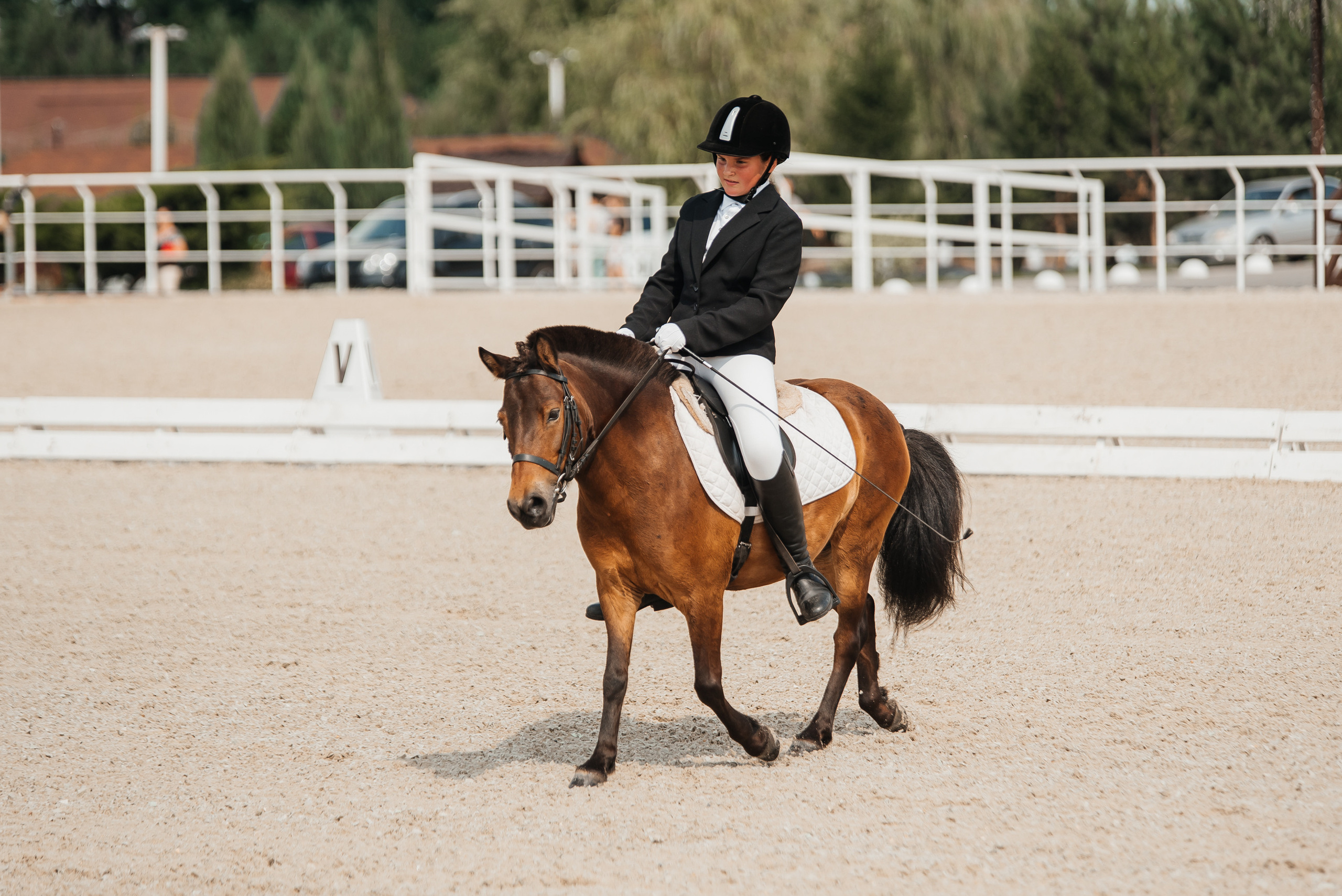 КСК История 19–20 августа 2023 года. Фотограф Рязань